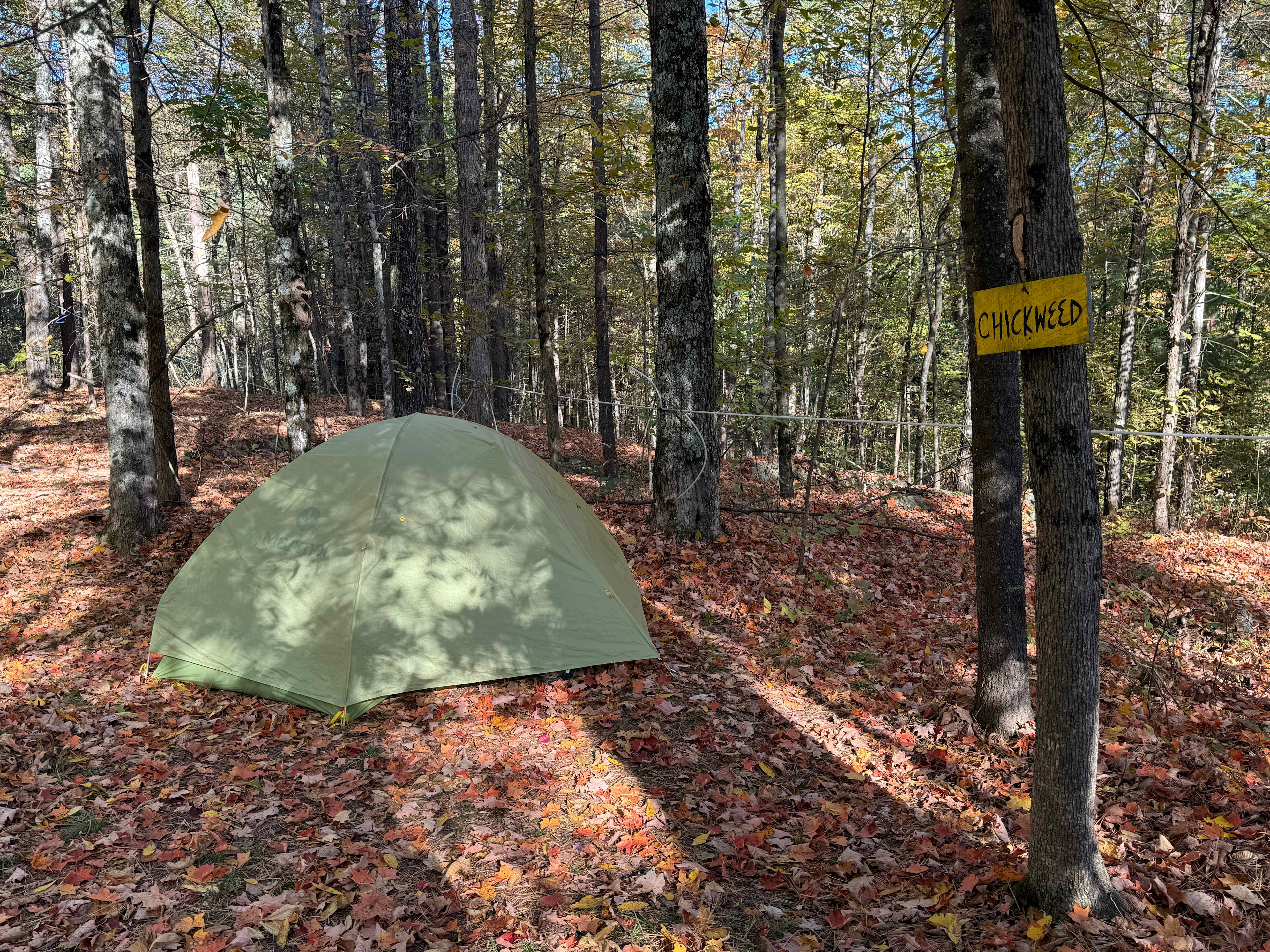 Meadow Lane Campground