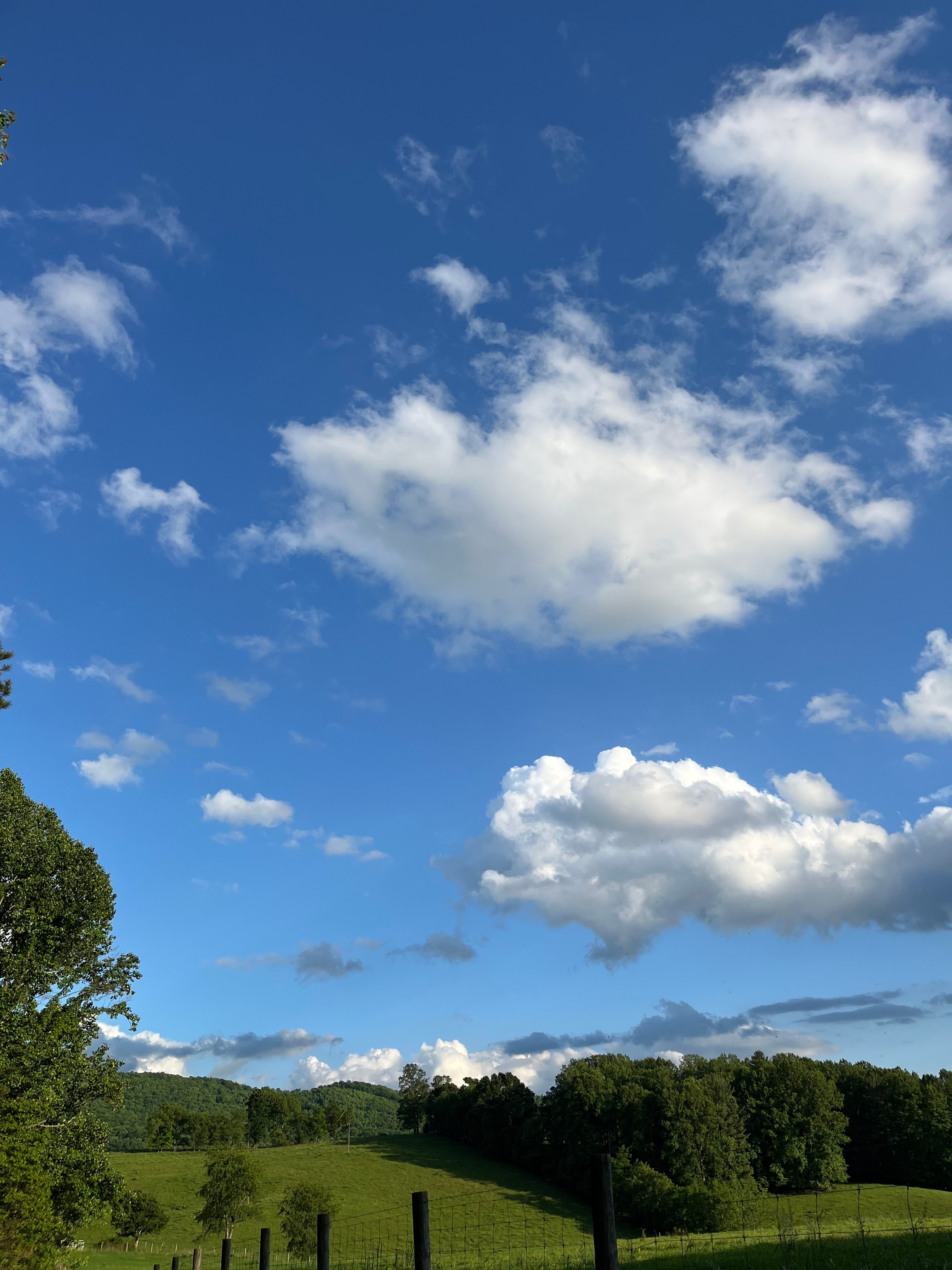 Secluded Farm Camp near Damascus VA