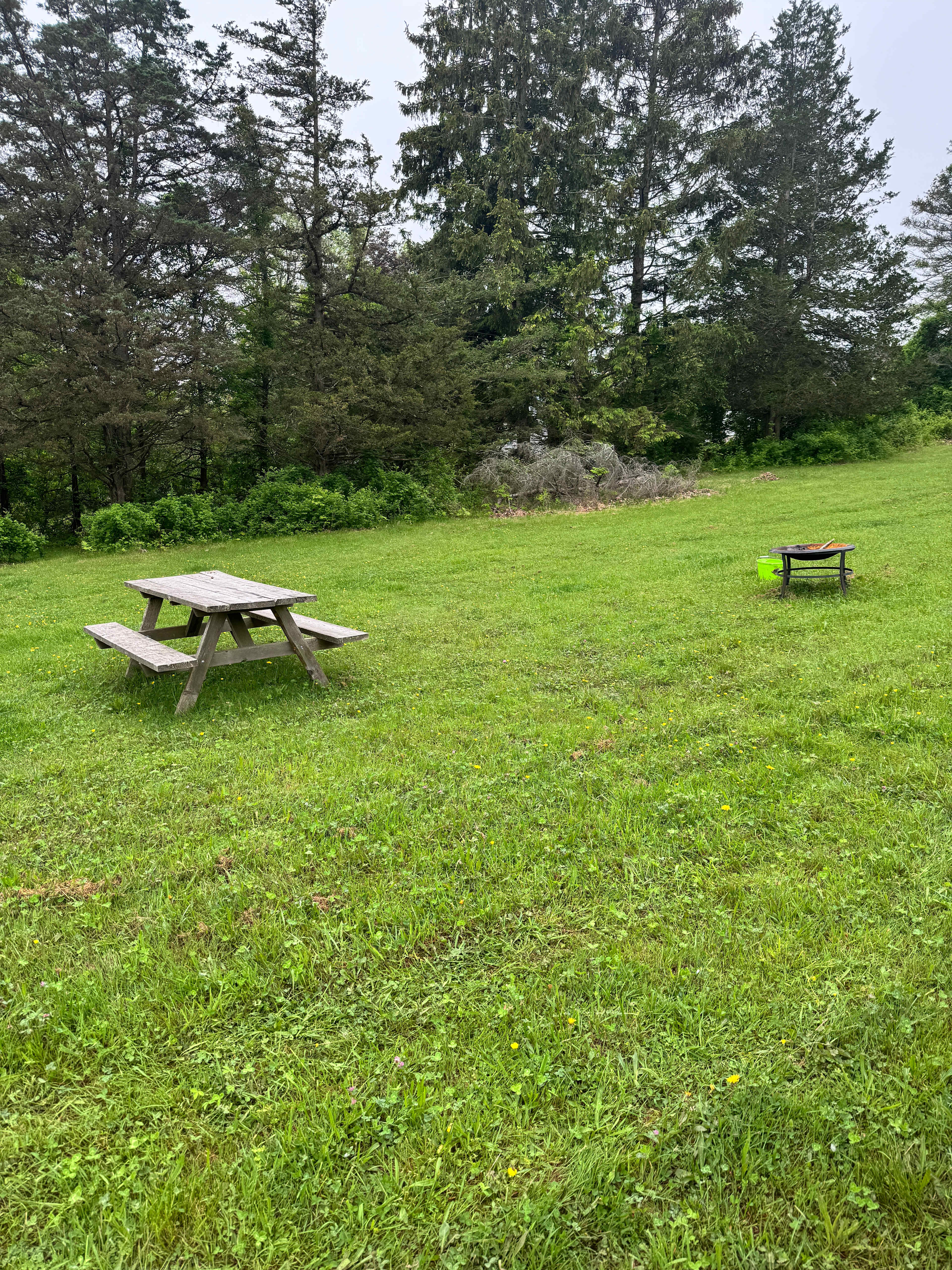 Bench and fire pit provided