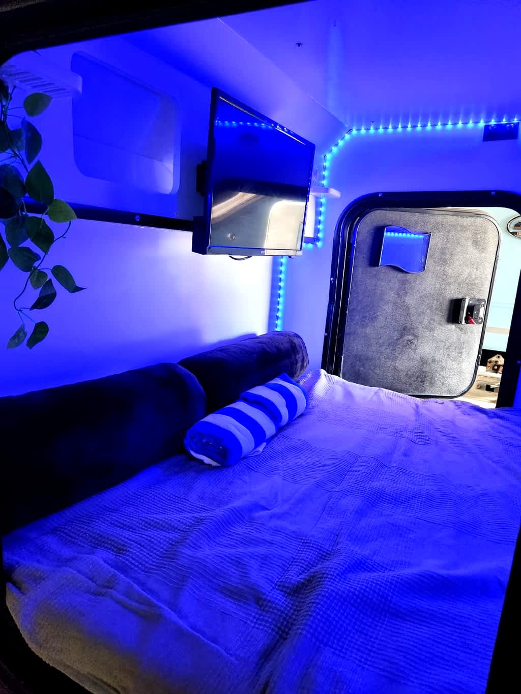Rainforest Mini Camper – Luquillo