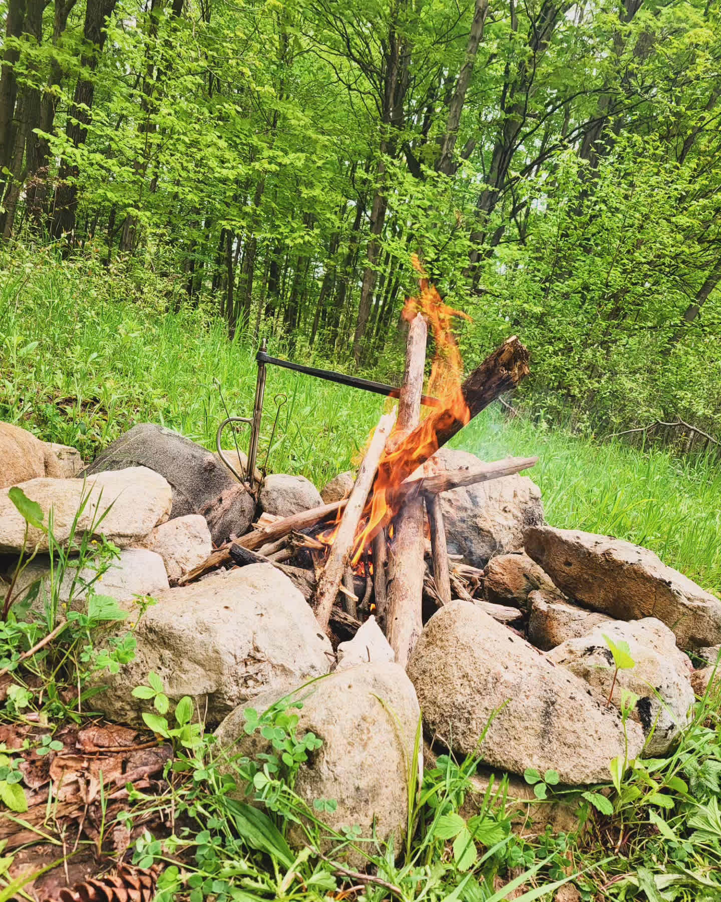 Maple Ridge Acres