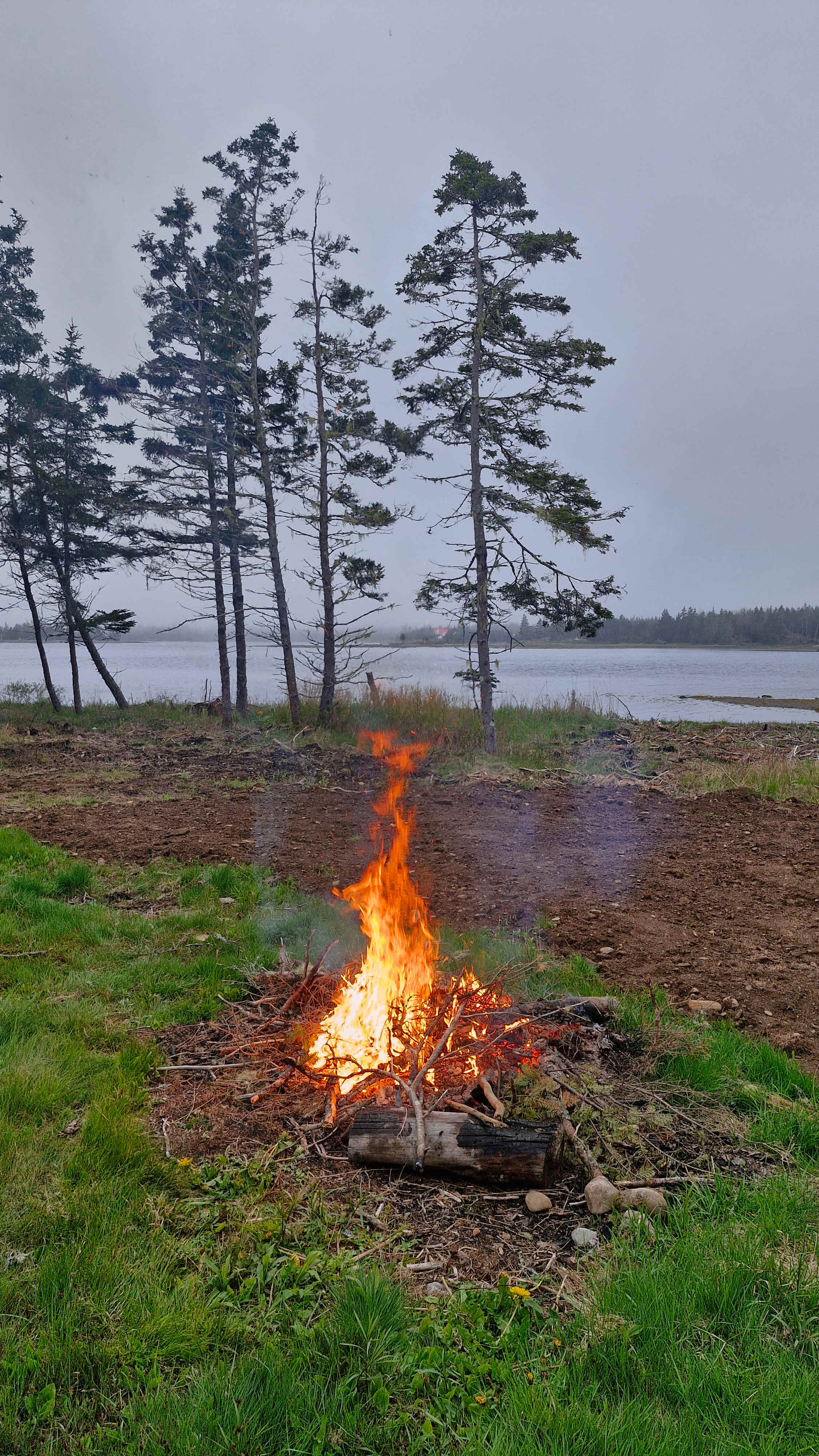 Wild Islands Camping by the Sea