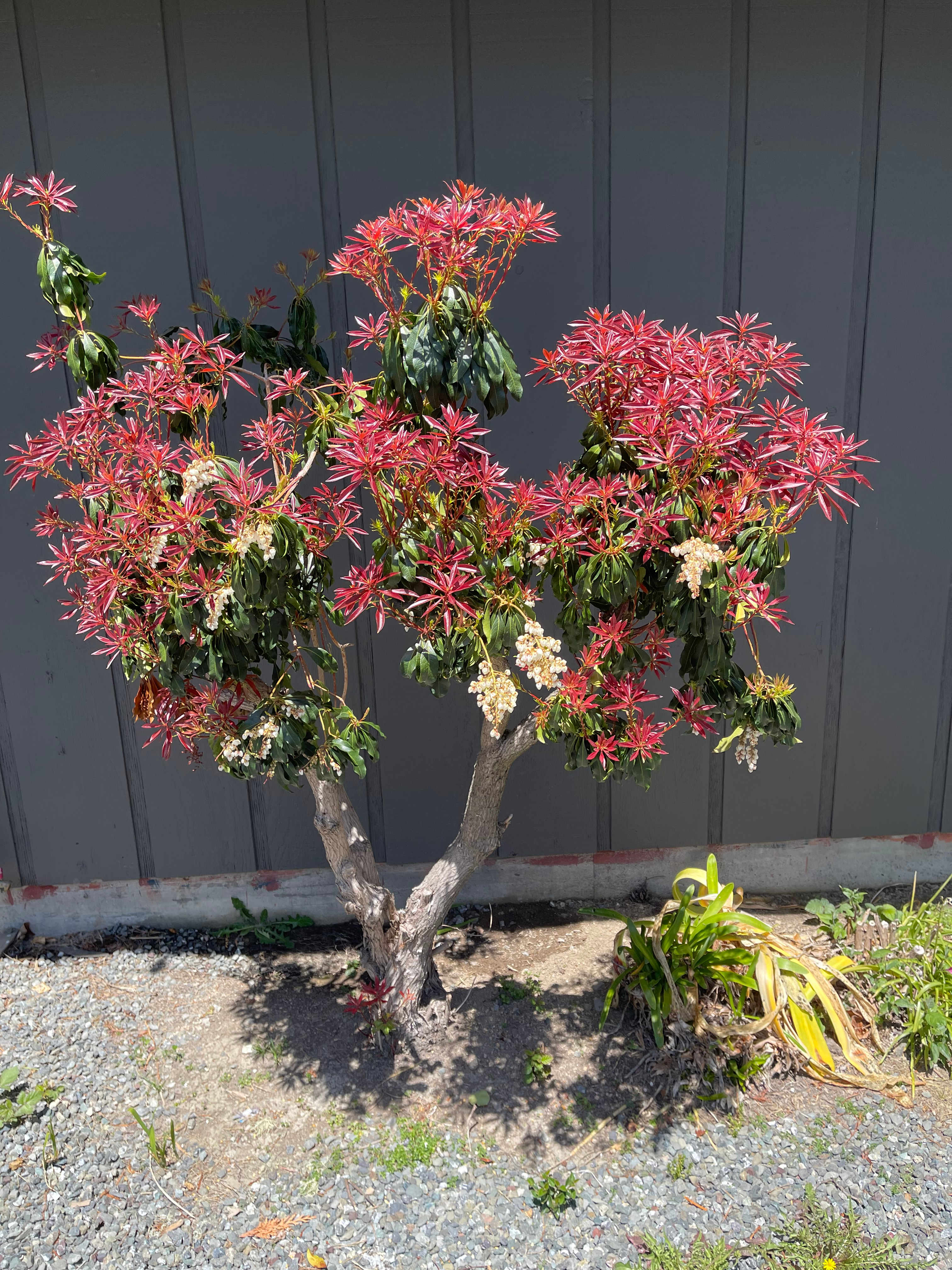 So many beautiful and interesting plants!