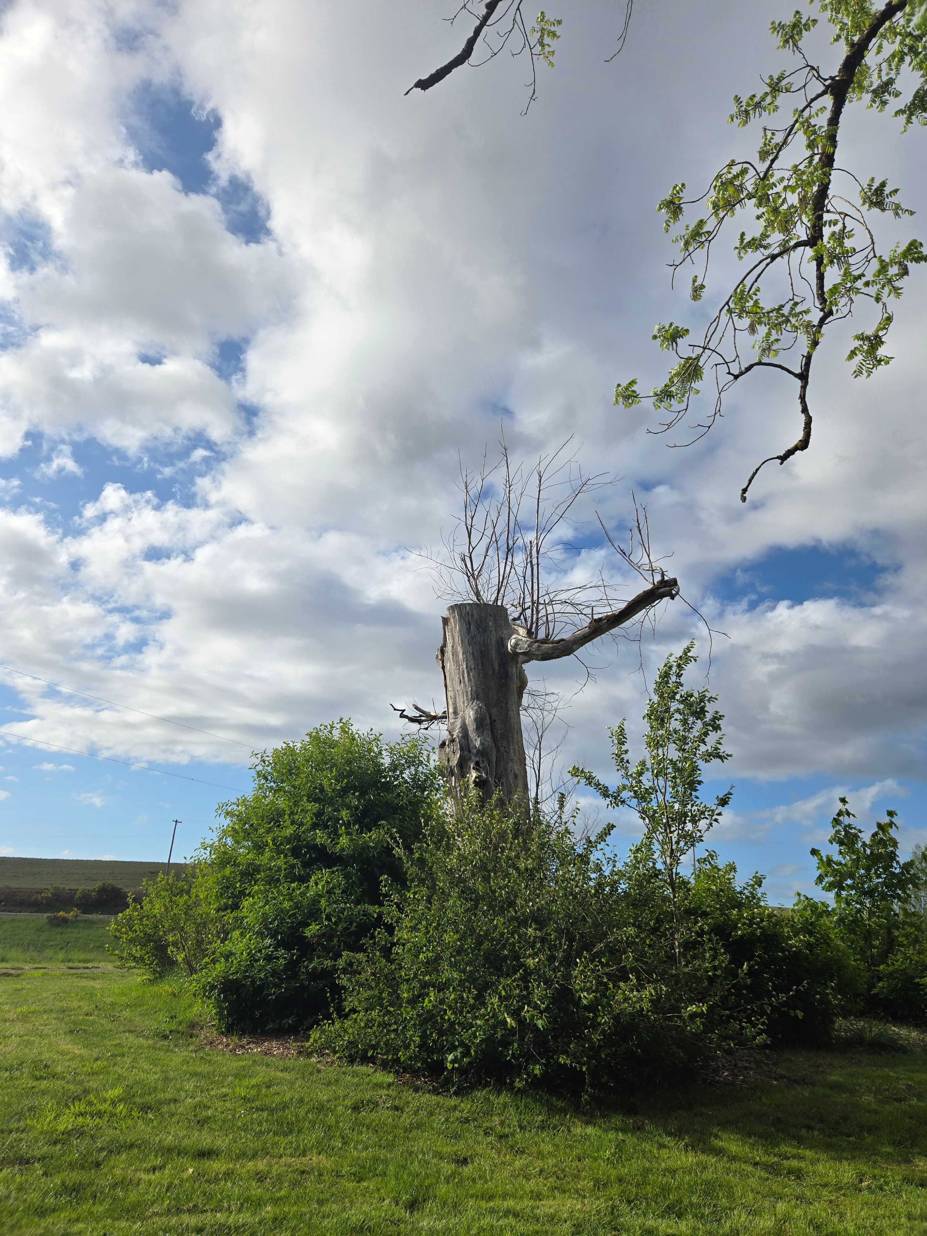 GeerCrest Farm