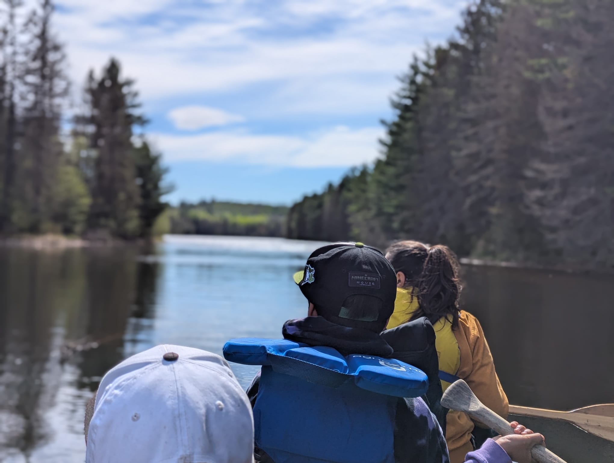 Nature's Harmony Wilderness Retreat