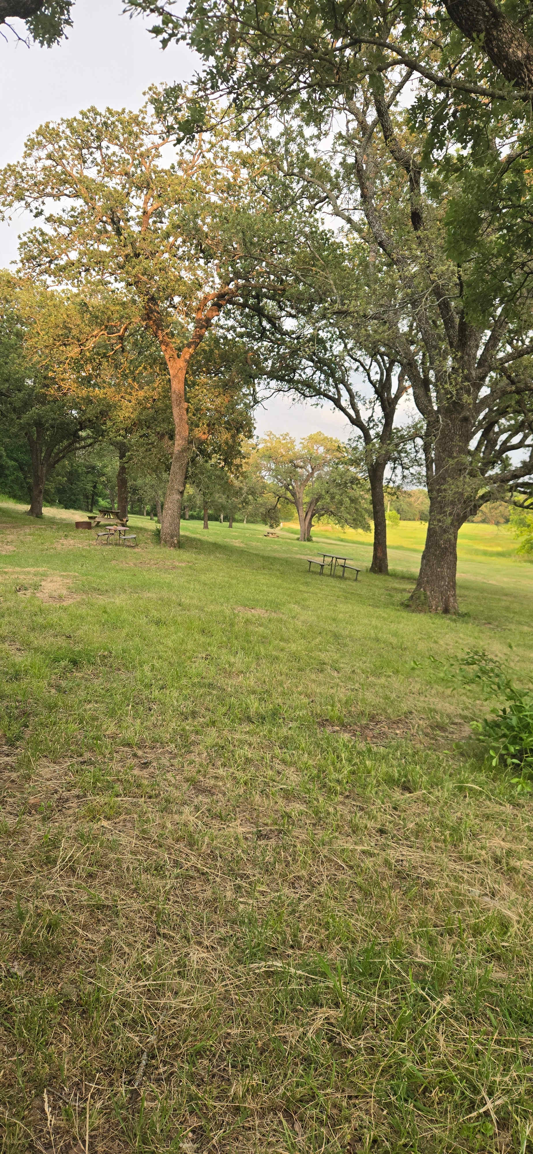 BentProp  Campground