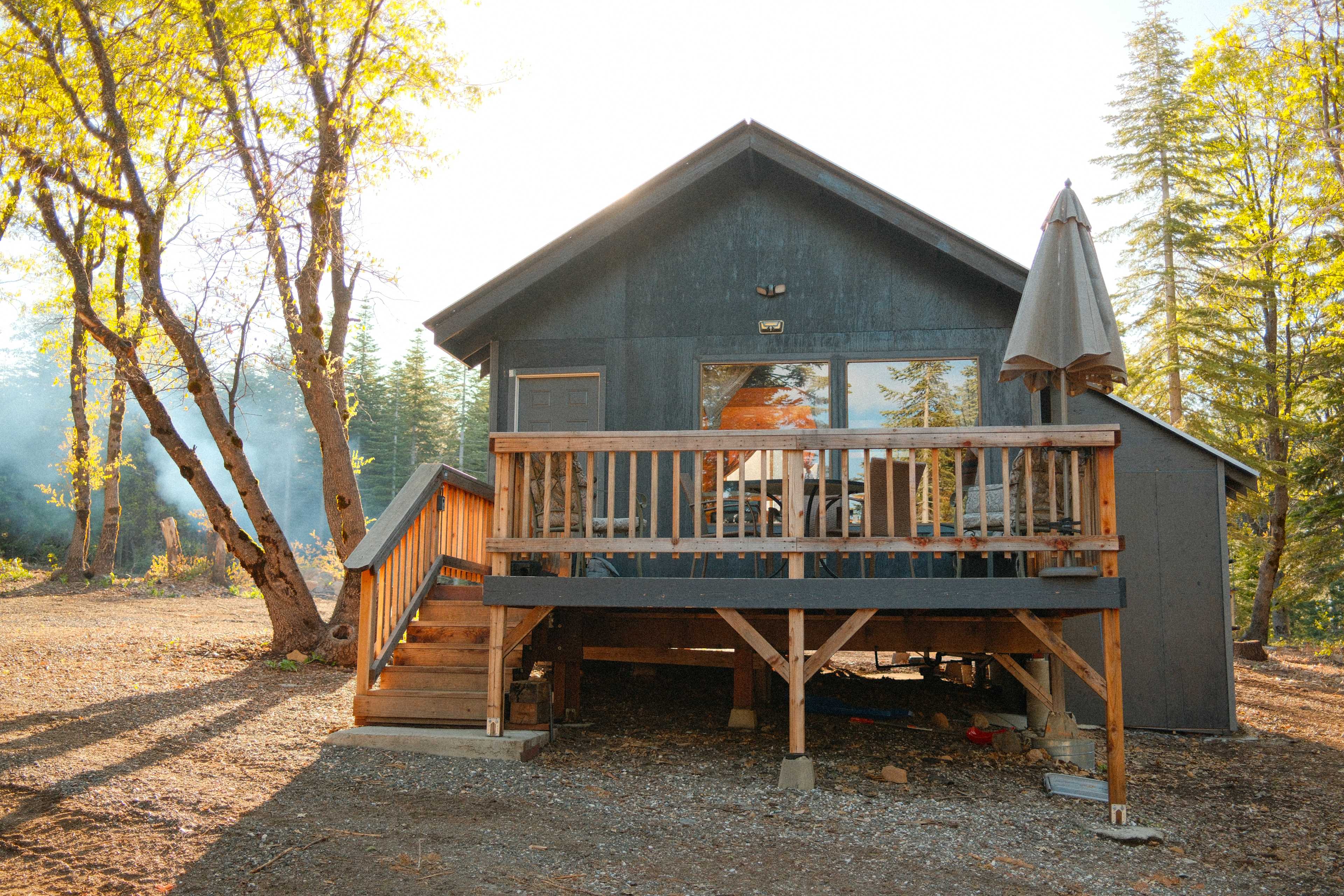 The "front" of the cabin, which faces the pine tree view