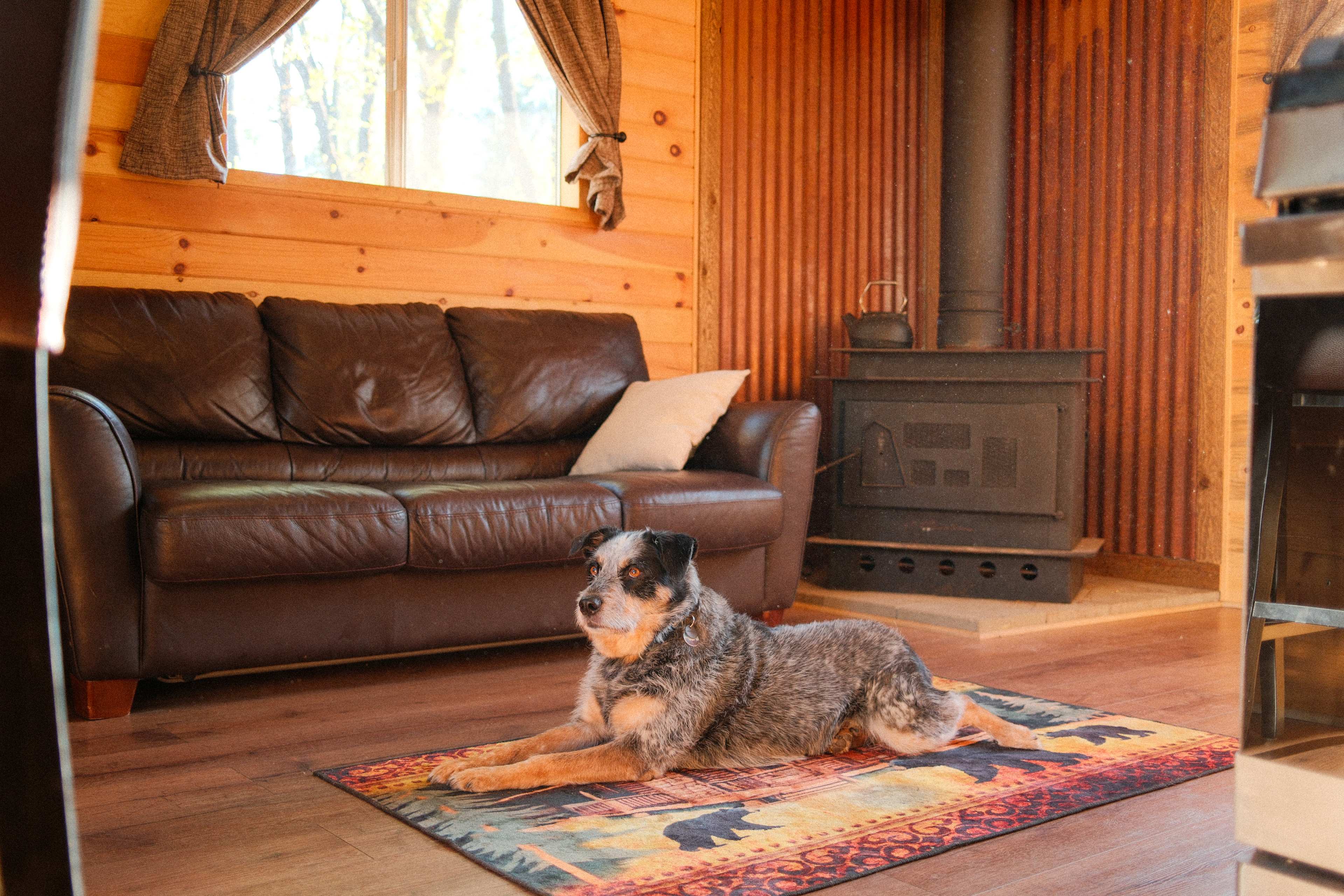 There is a wood-burning stove (you can gather firewood on the property) to keep warm in colder months