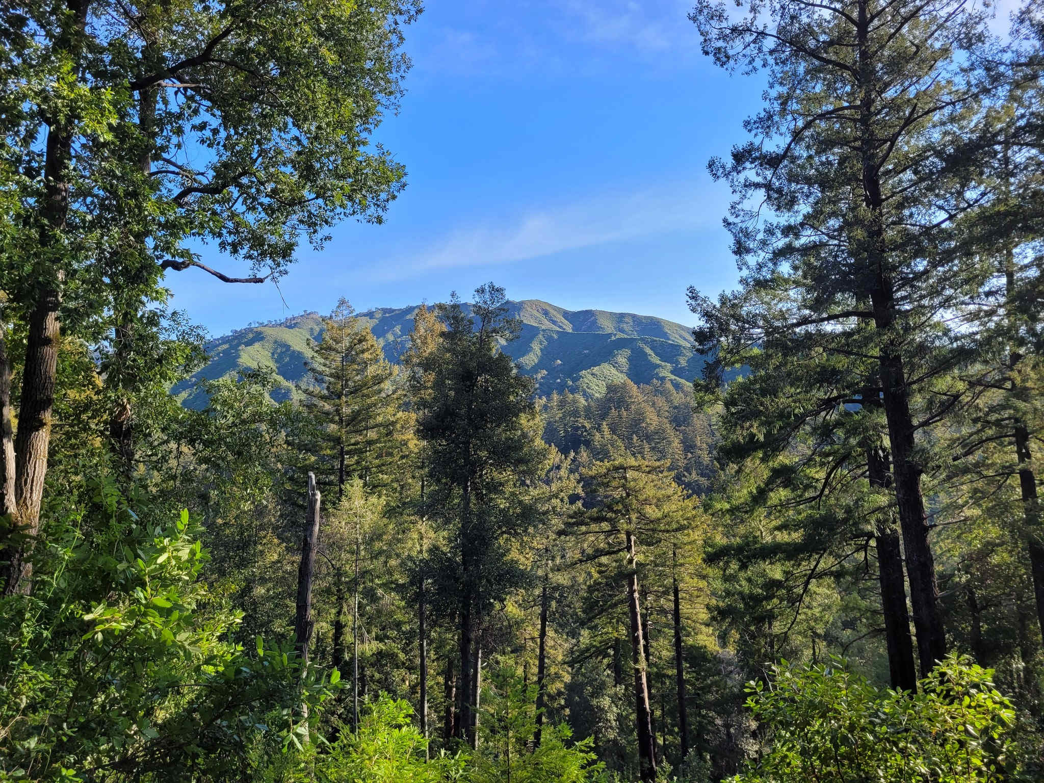 Camp Pico Blanco