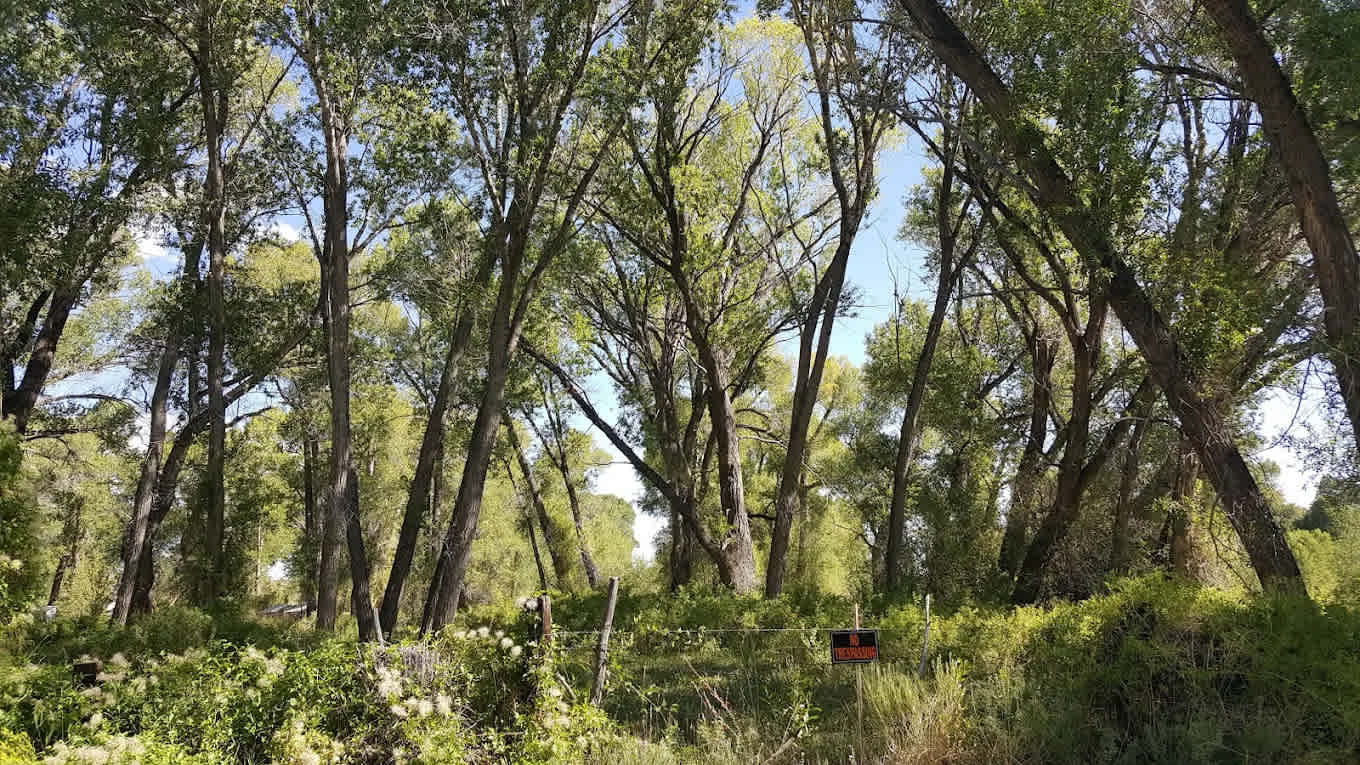 Mogote Meadow