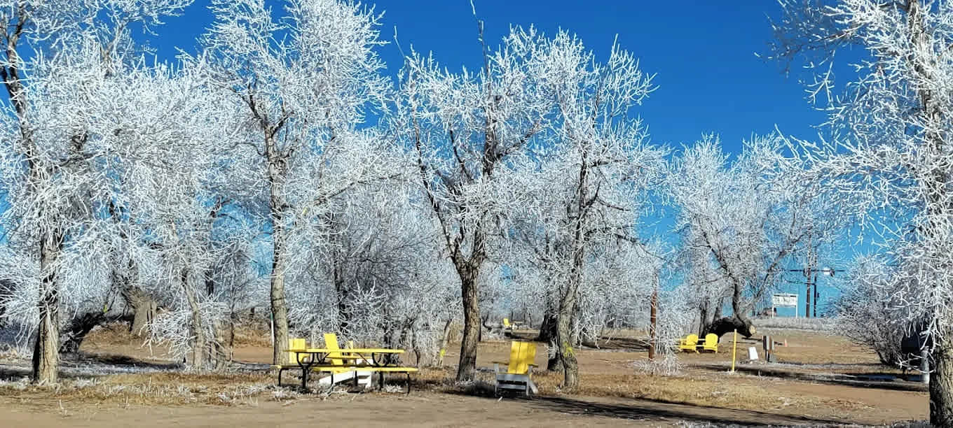 Falcon Meadow Campground