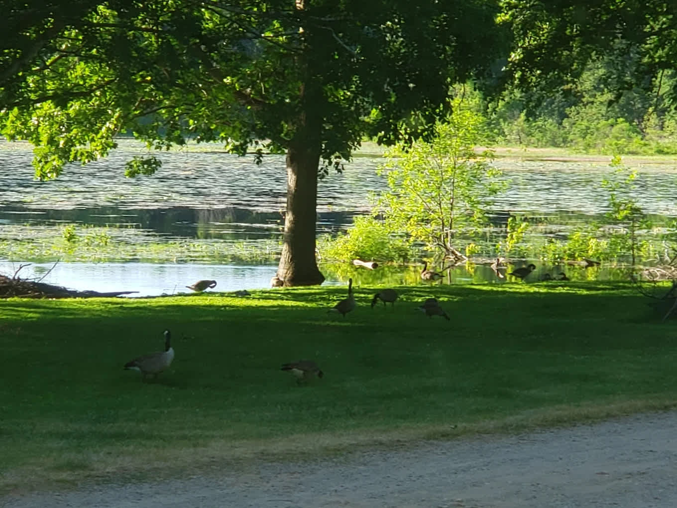 Moscow Maples RV Park