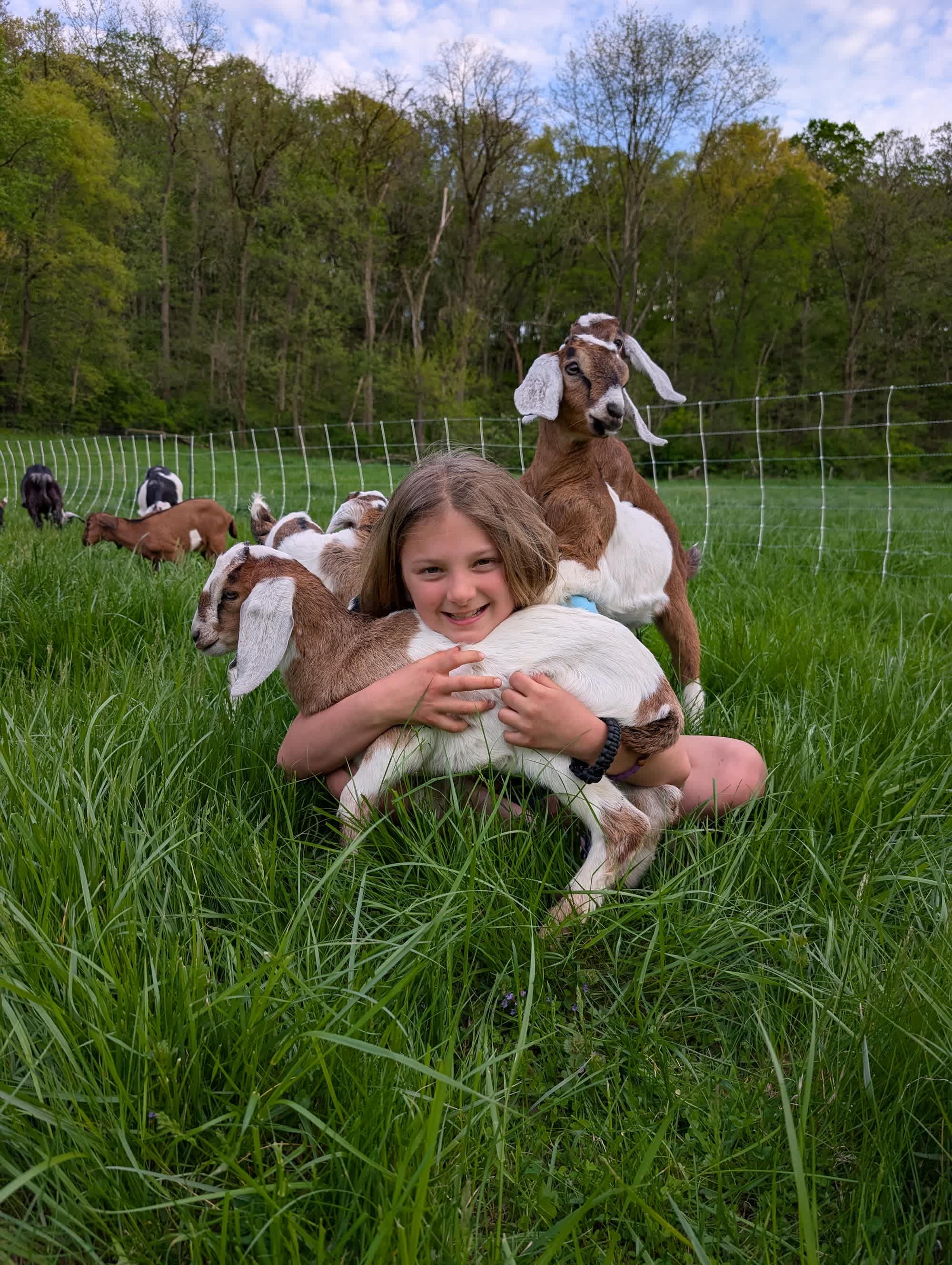 Yurt Glamping Tents + Farm Animals