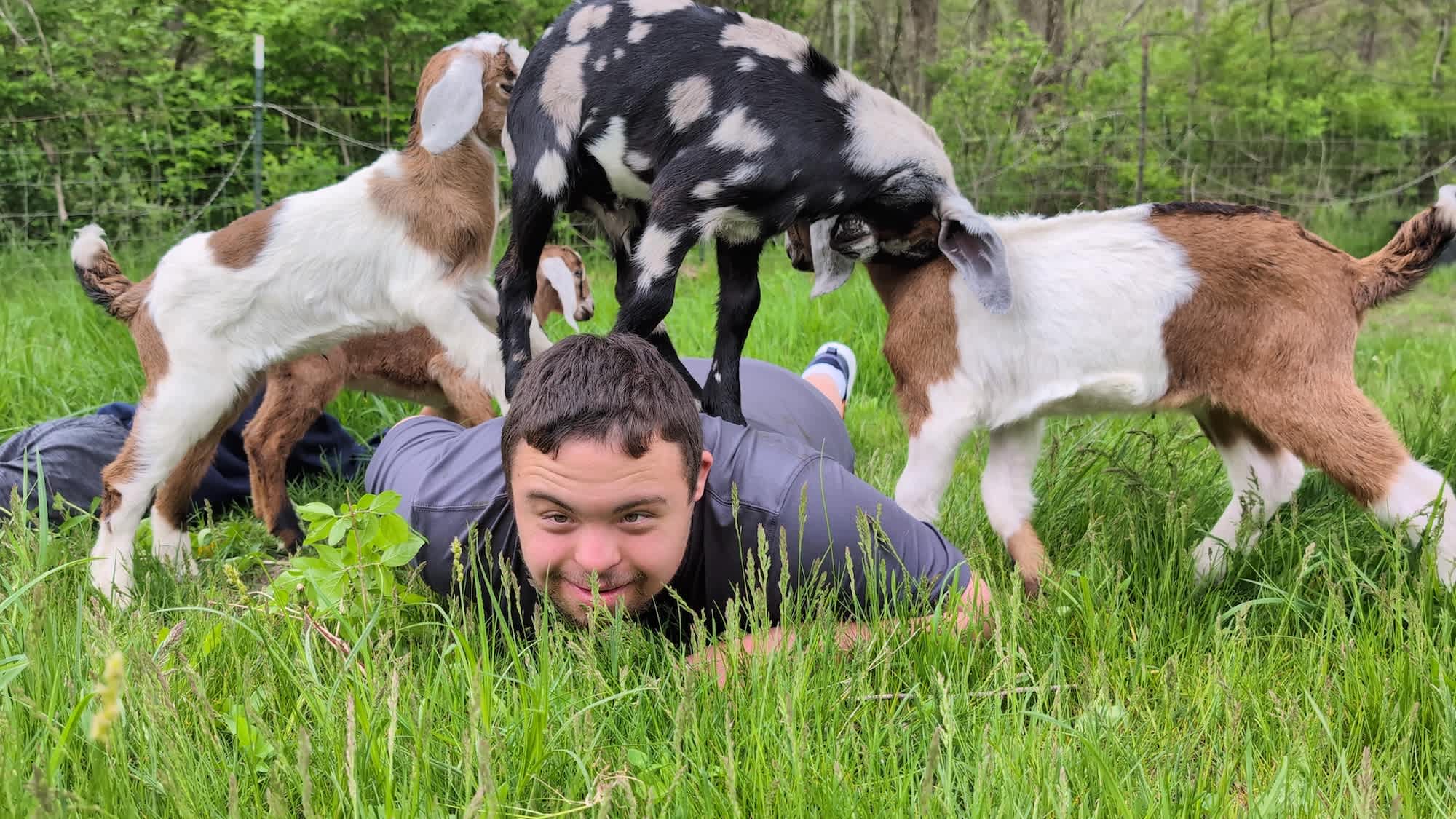 Glamping+Goats+Gardens 175Acre Farm