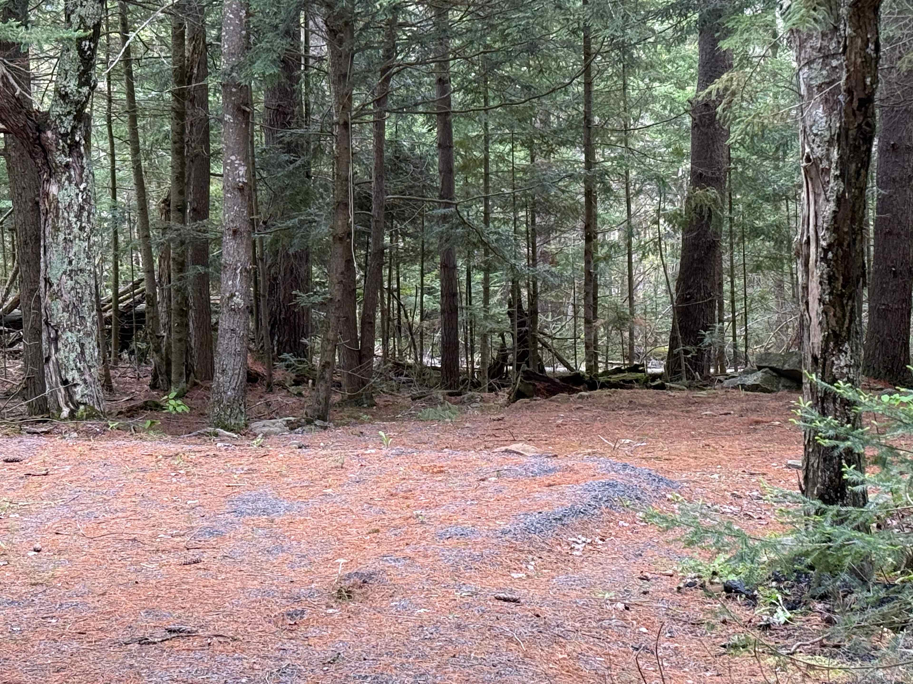Chevy’s Primitive Camps