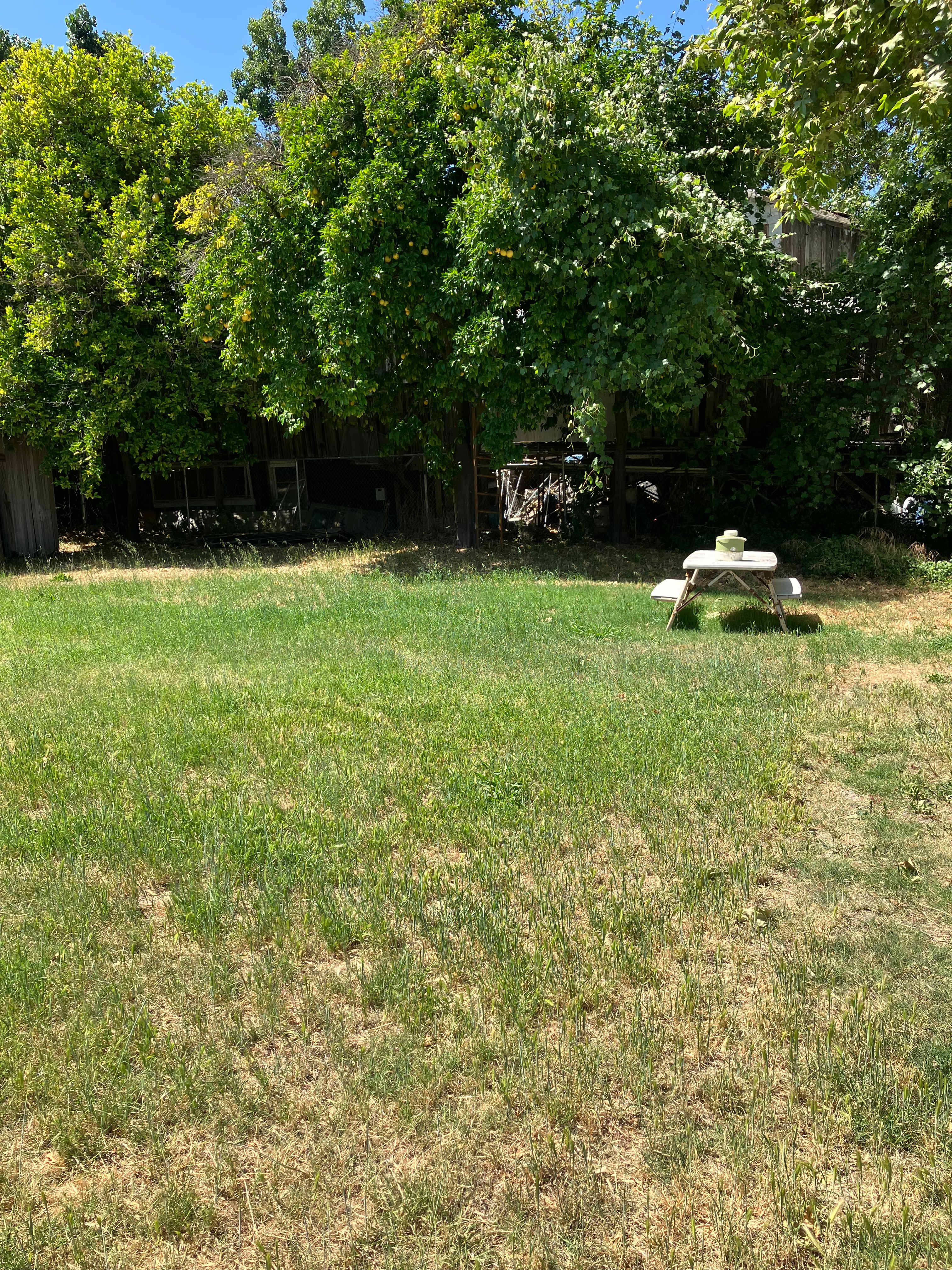Delta Meadows River Camp