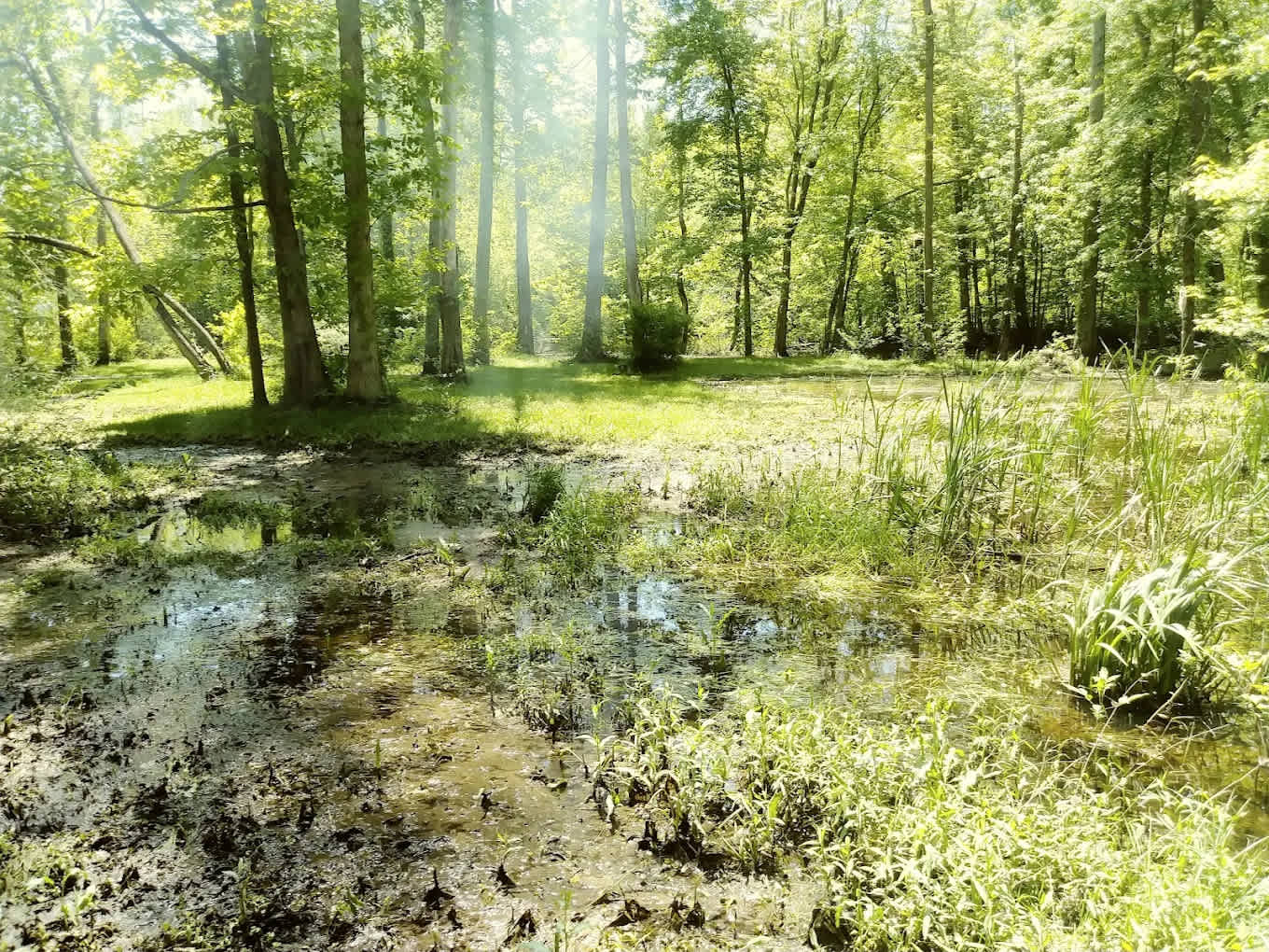 Paw Paw River Campgrounds