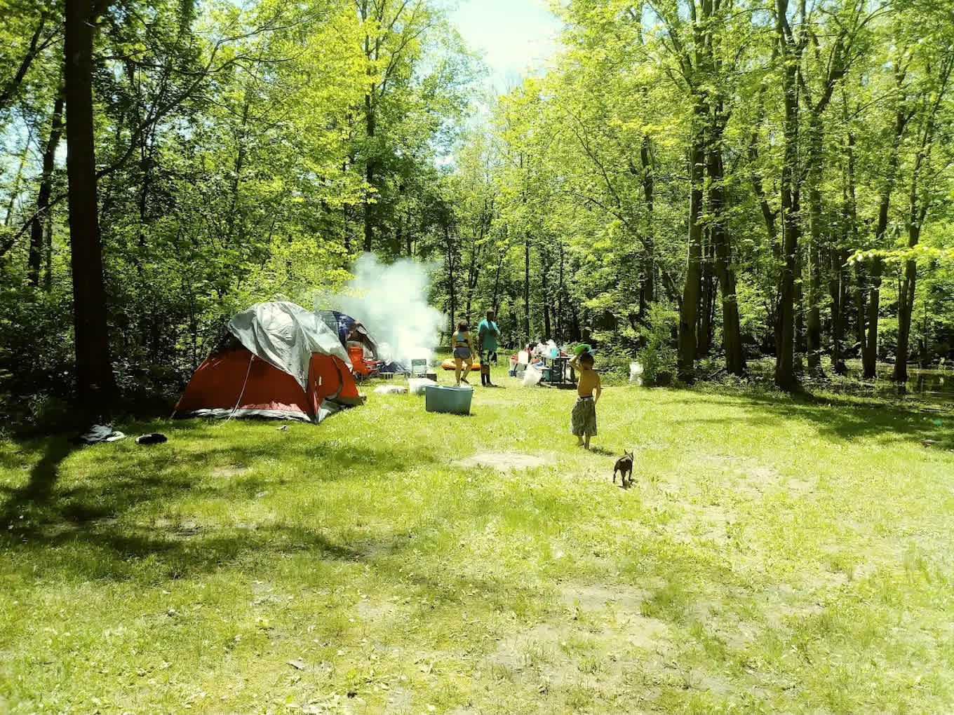 Paw Paw River Campgrounds