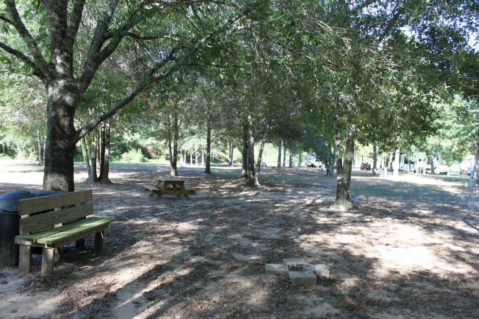 My Favorite Campground