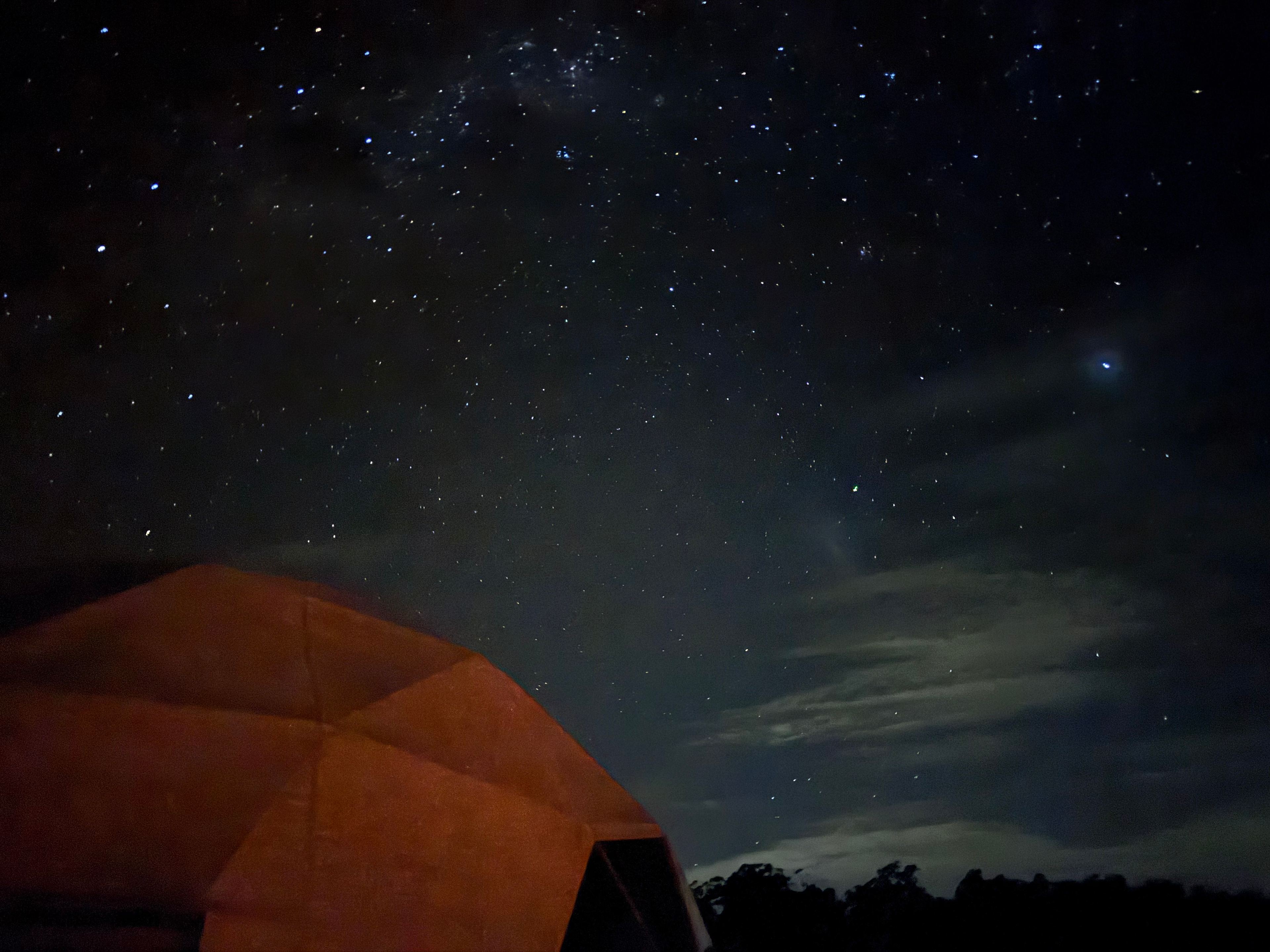 The Meadow -Byron Hinterlands Domes