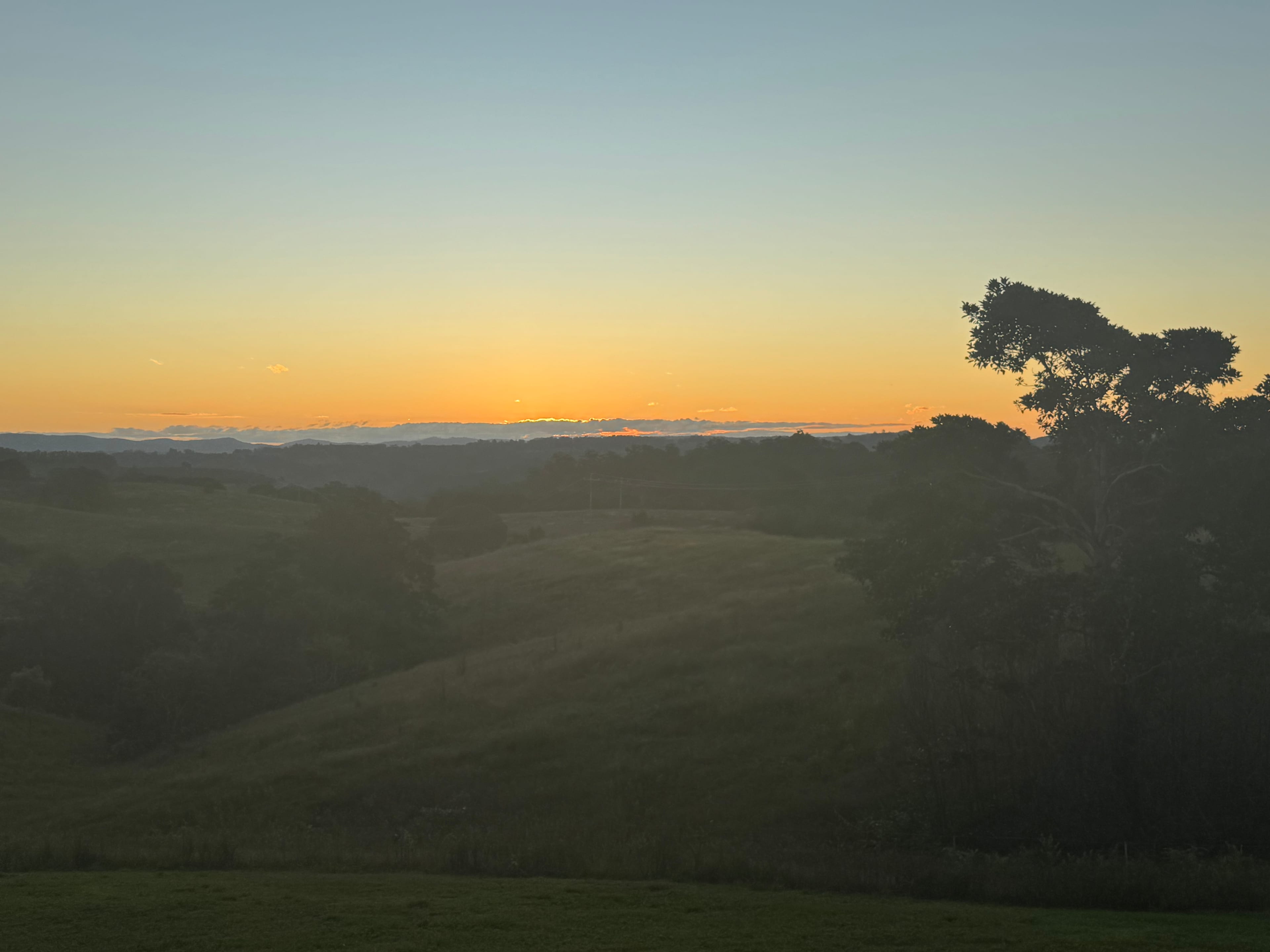 The Meadow -Byron Hinterlands Domes