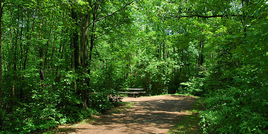 Pataha Creek RV