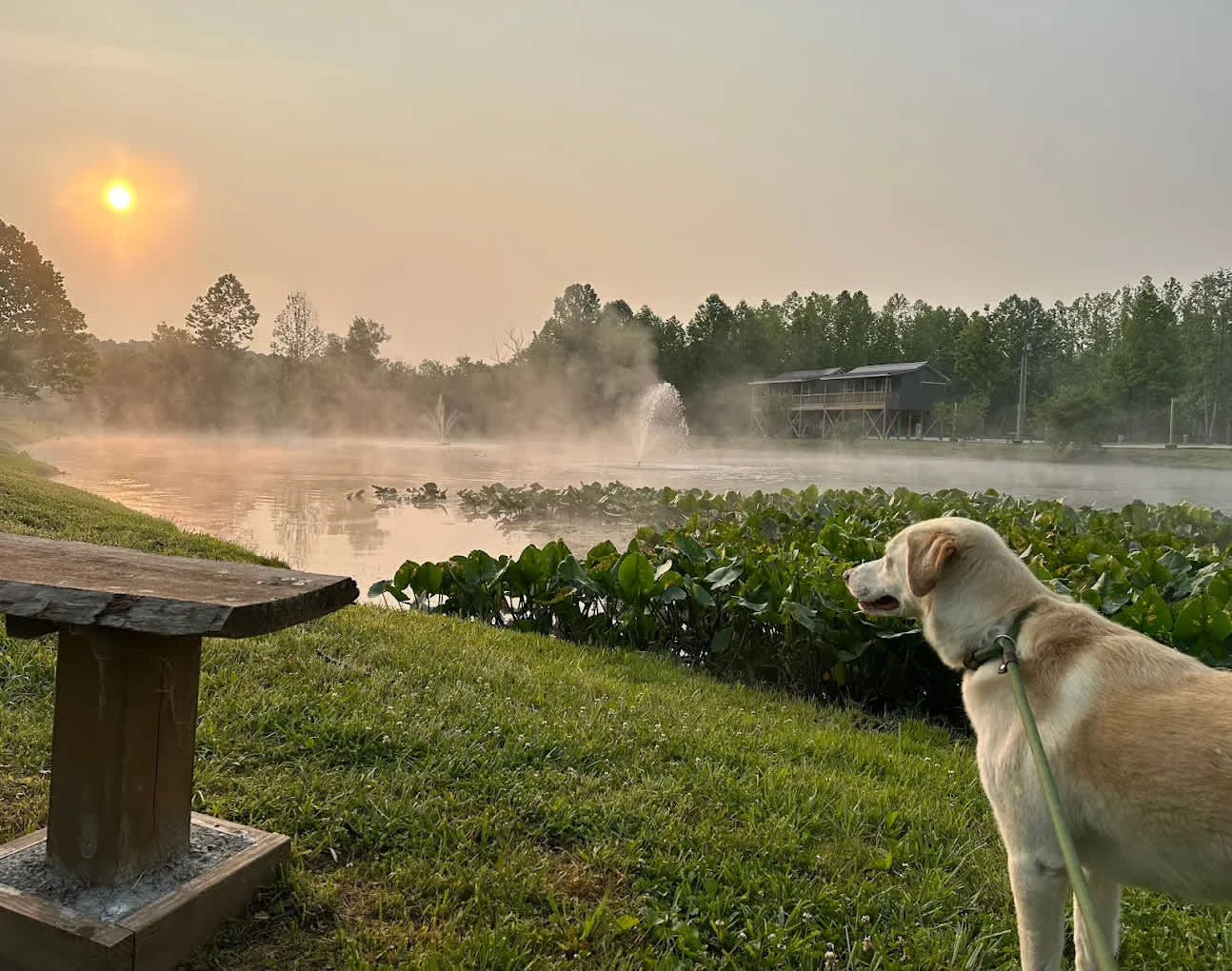 Sheltowee RV Park and Cabins