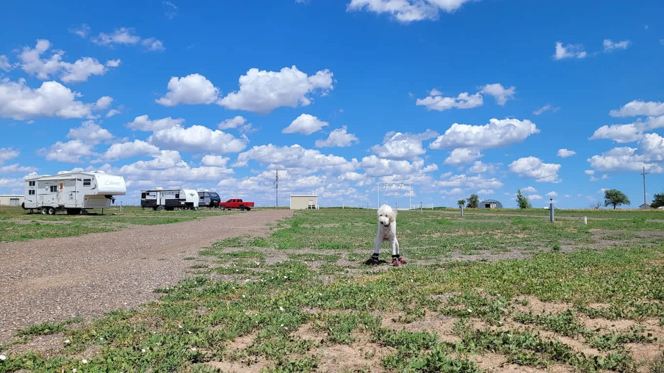 SodDawg RV Park