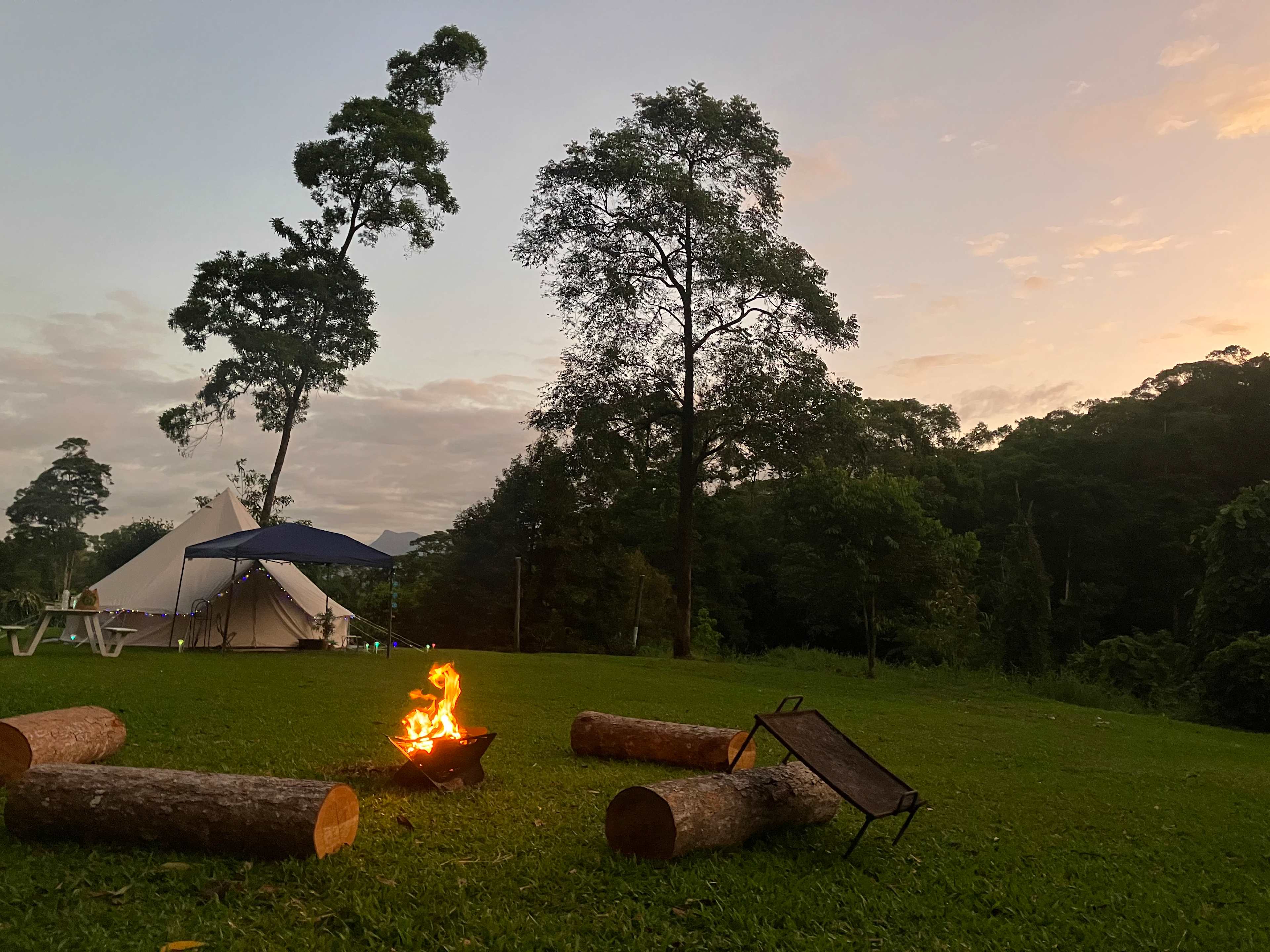 Daintree Exotics Camping