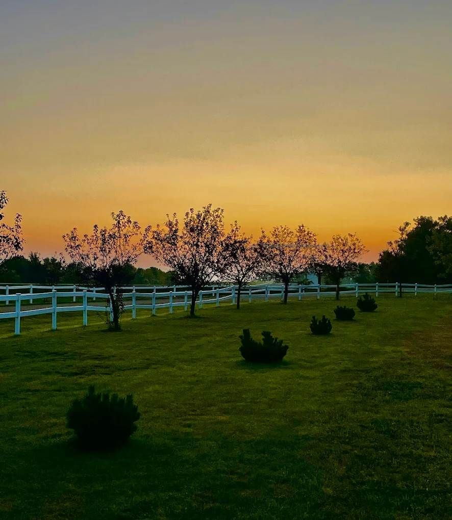Viking Vines RV Campground