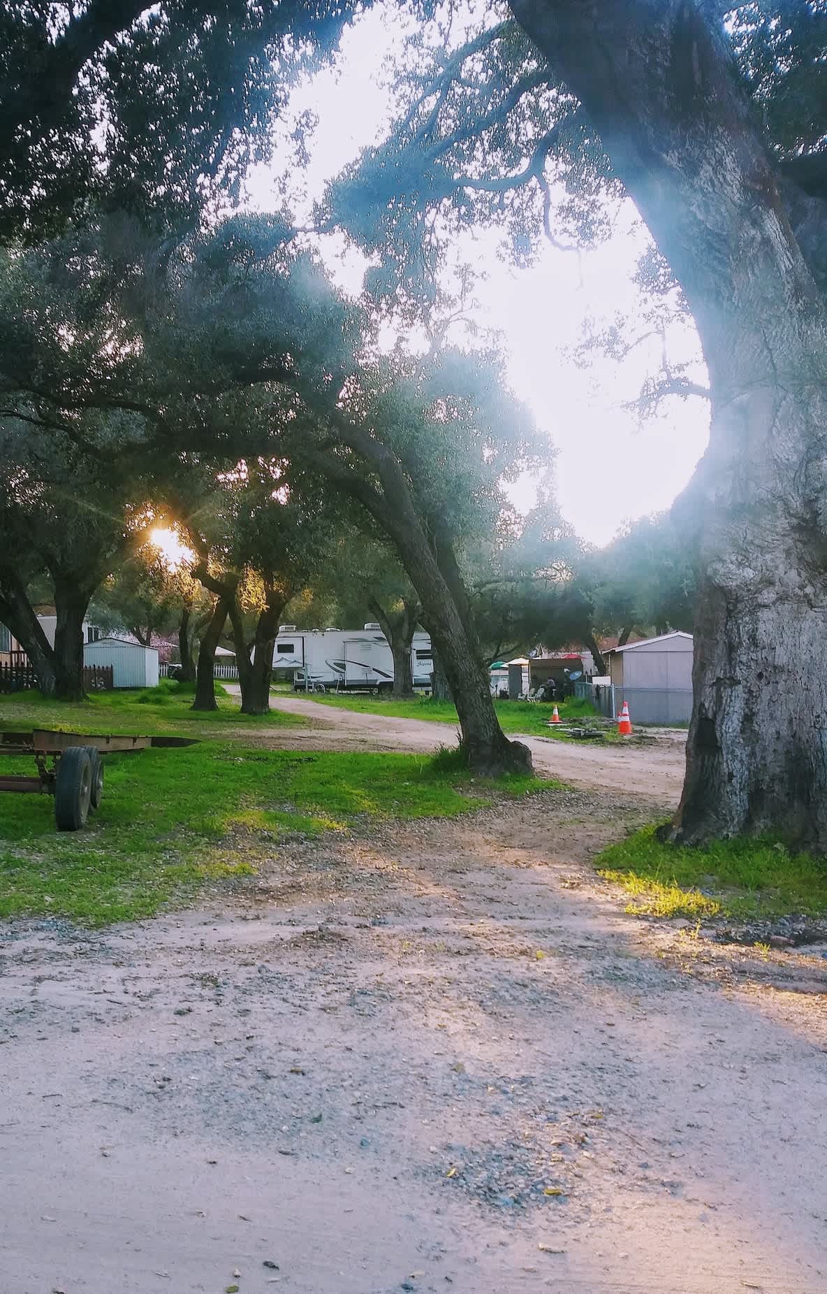 Ortega Oaks RV Park & Campground