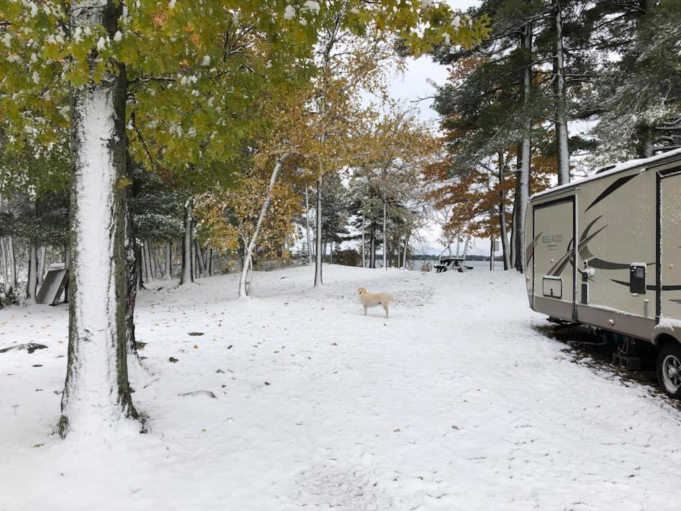 Quietwoods Resort & Campground