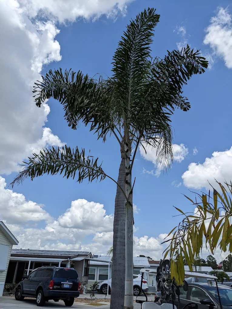 Cypress Bend RV Resort