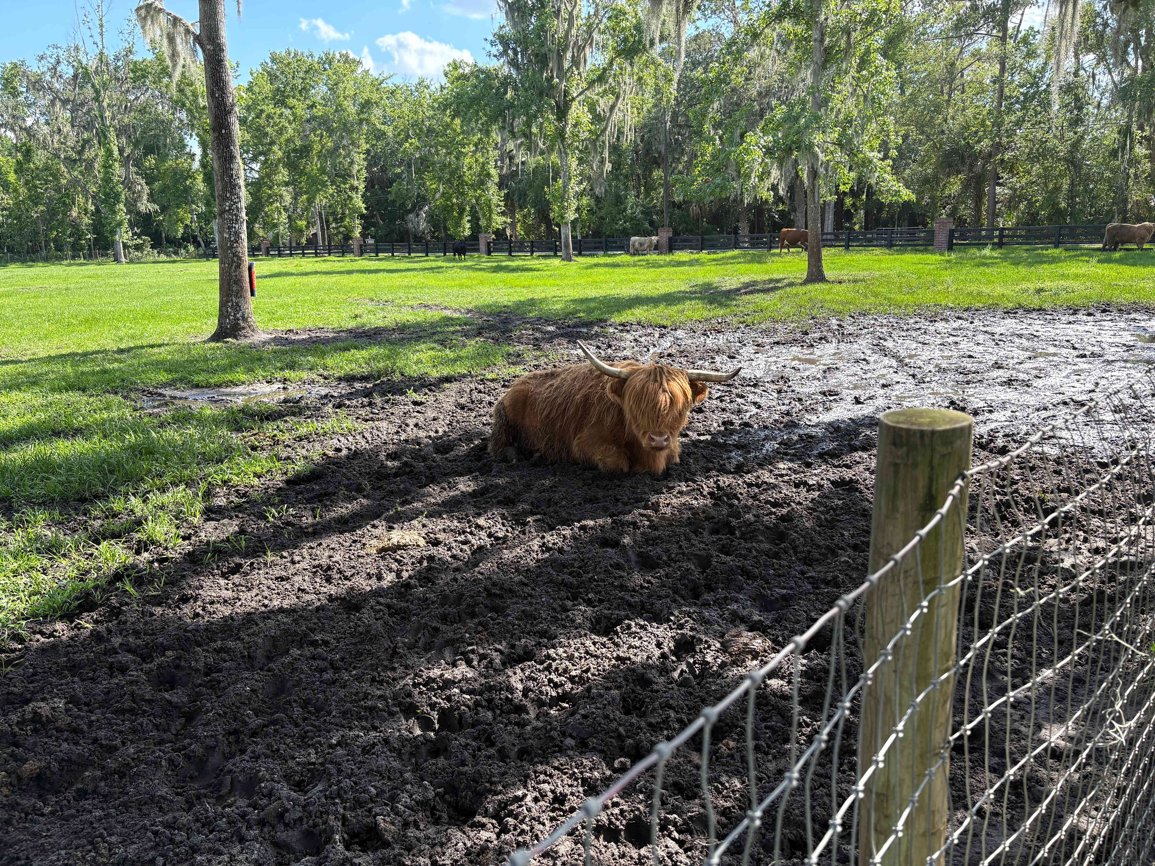 Family Farm Close to Everything!