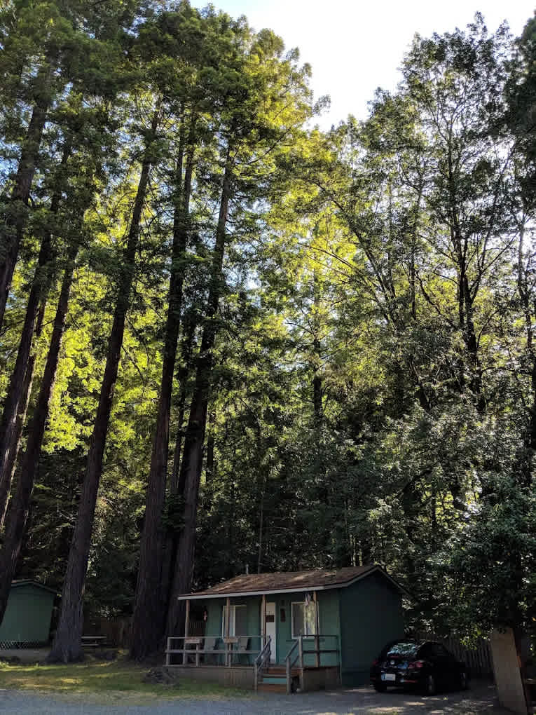 Redcrest Resort