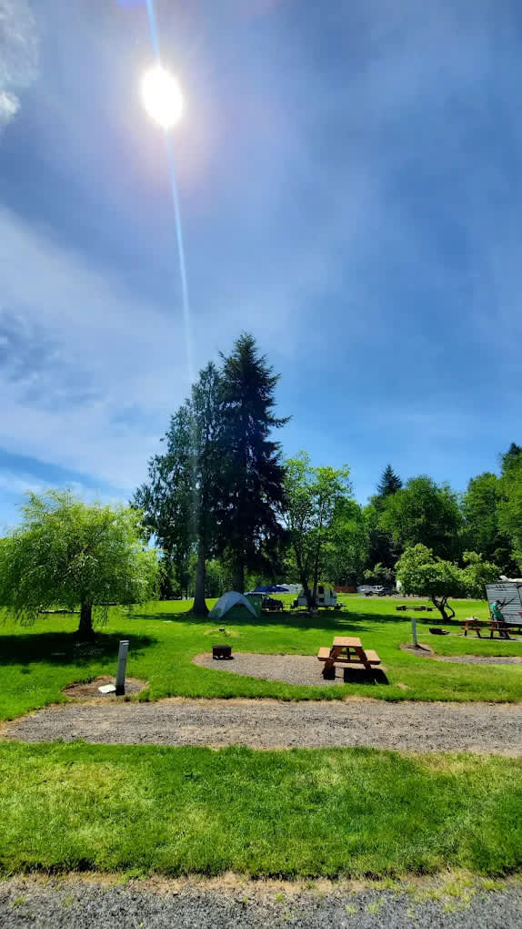 Riffe Lake Campground