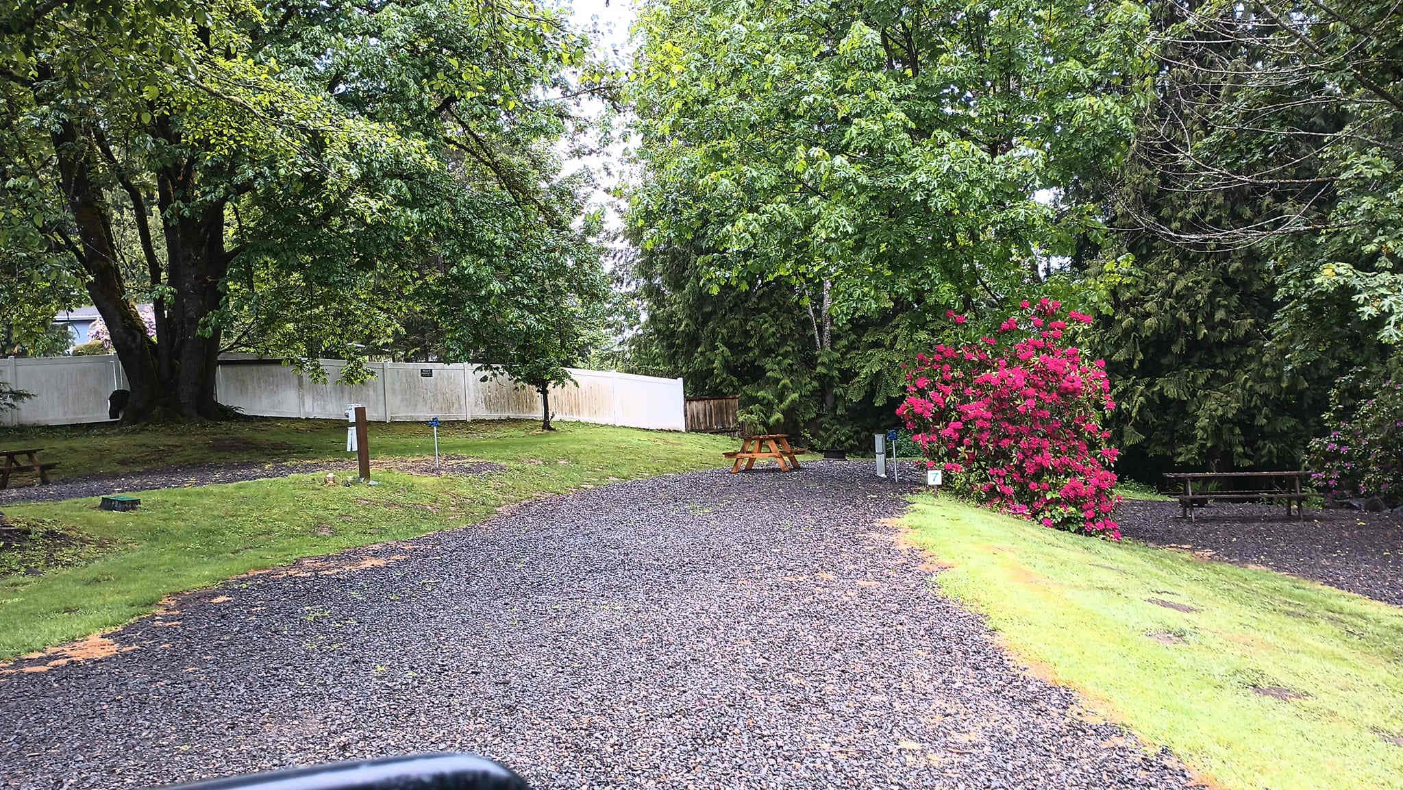 Riffe Lake Campground