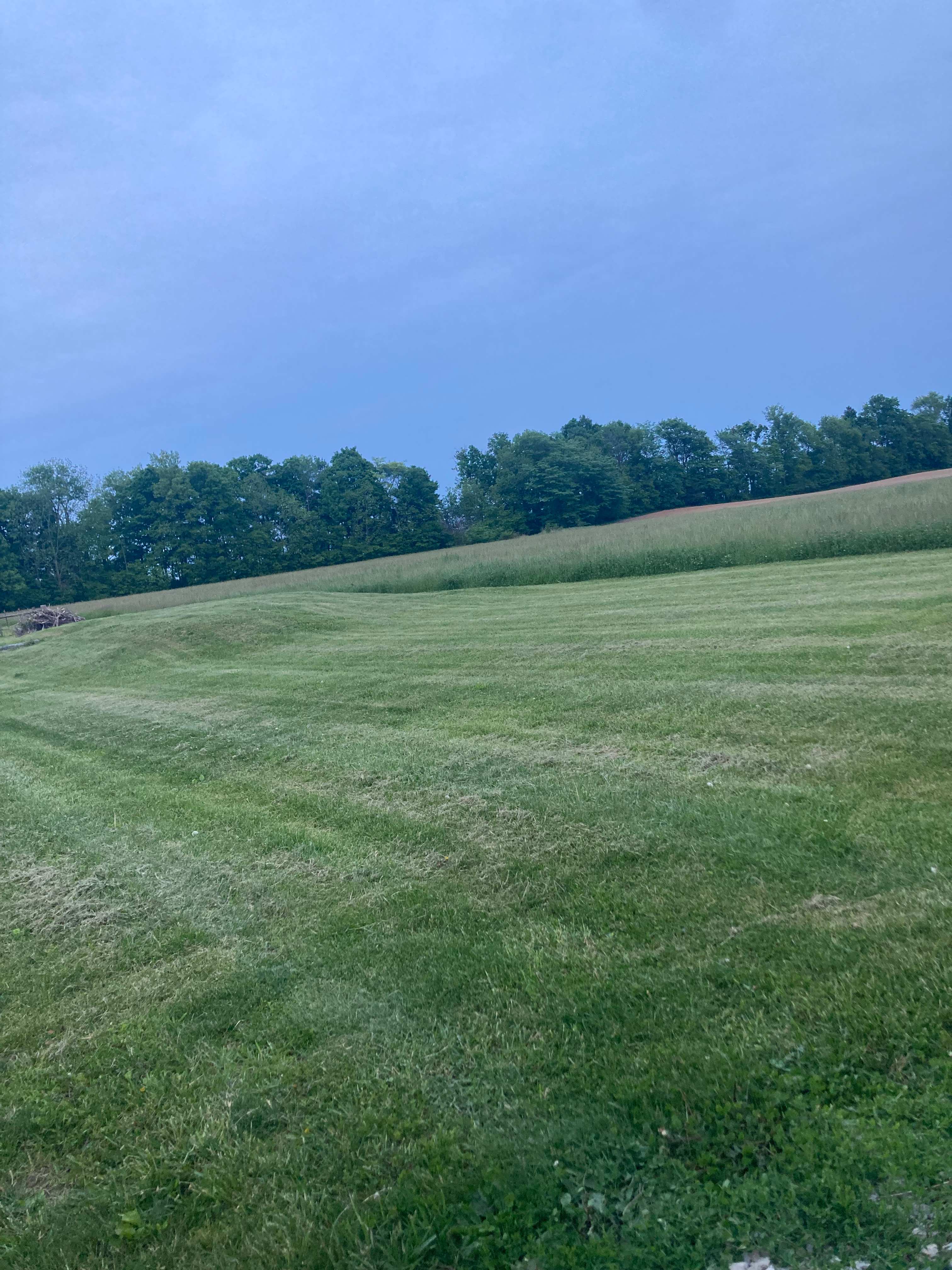 View of the field