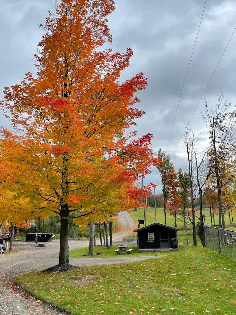 Swarty's Mohawk Campground