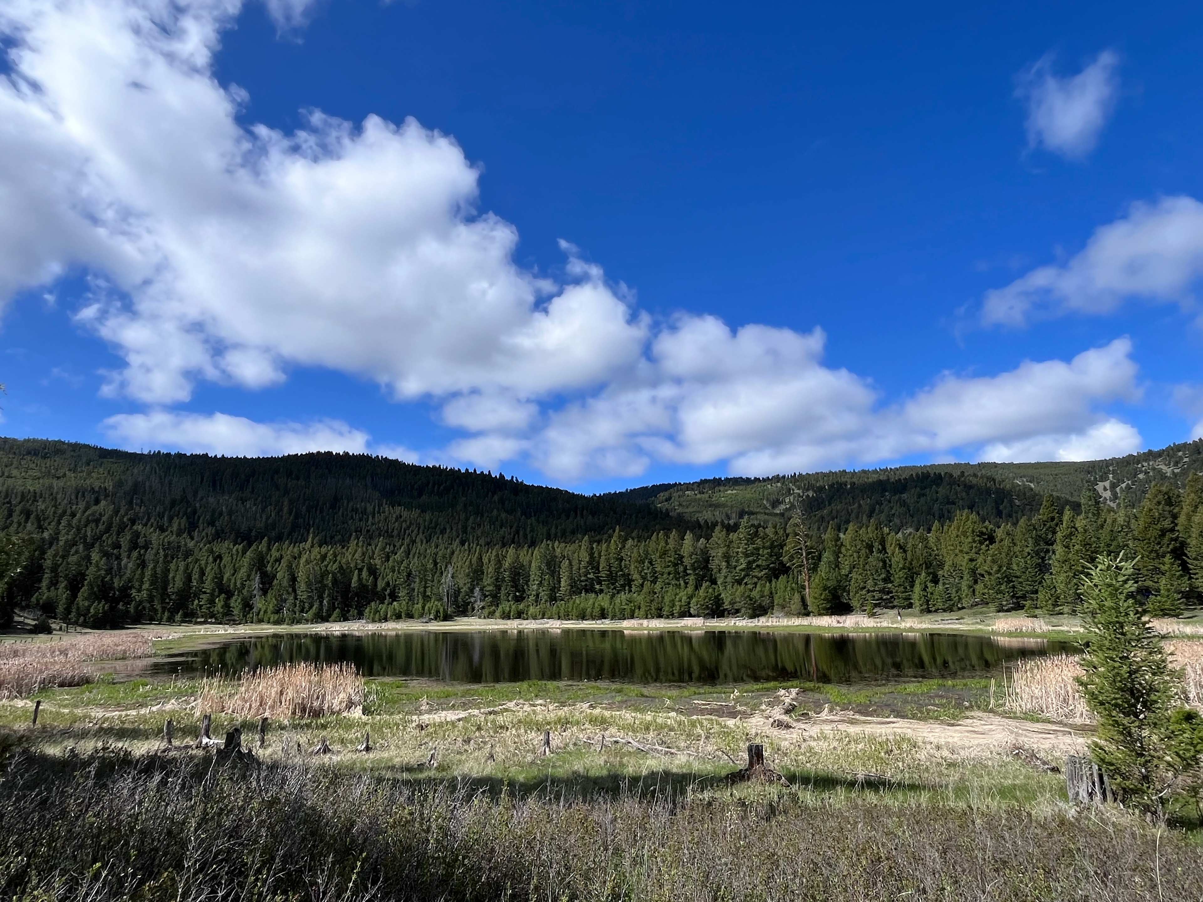 Mile High Mountain Homestead