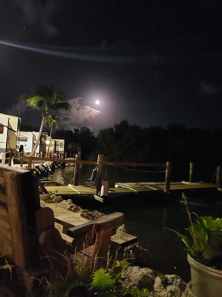 Driftwood Trailer Park