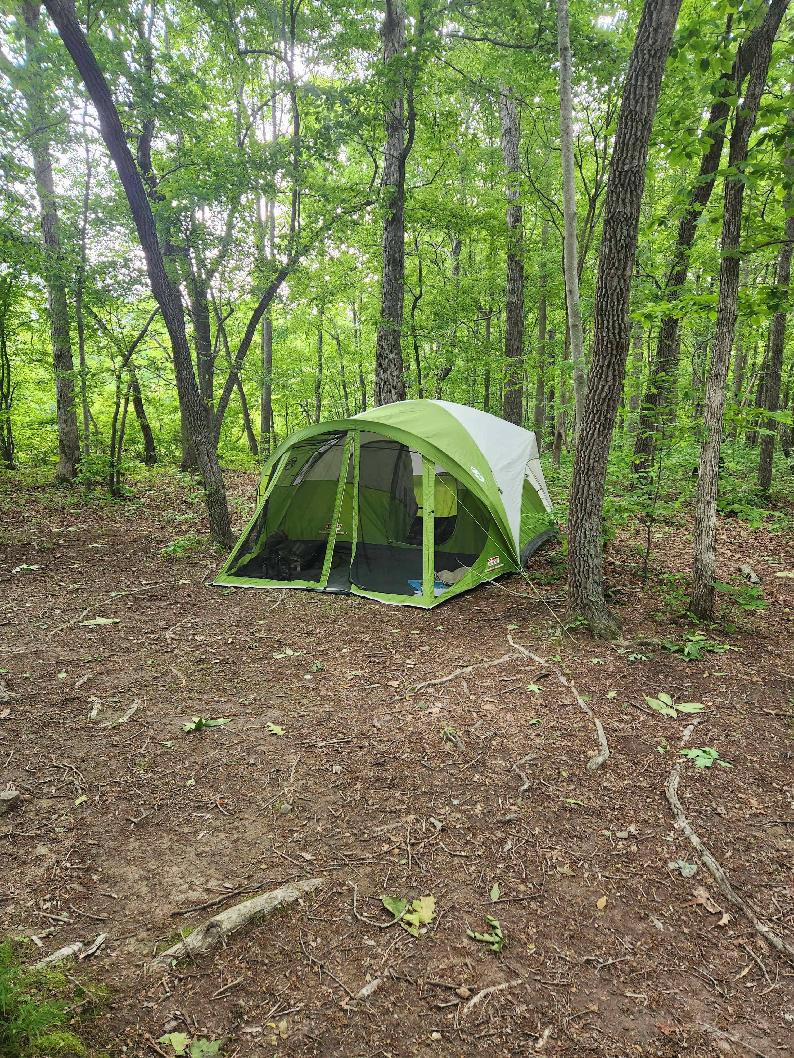 Easily identifiable/marked campsites with cleared ground.