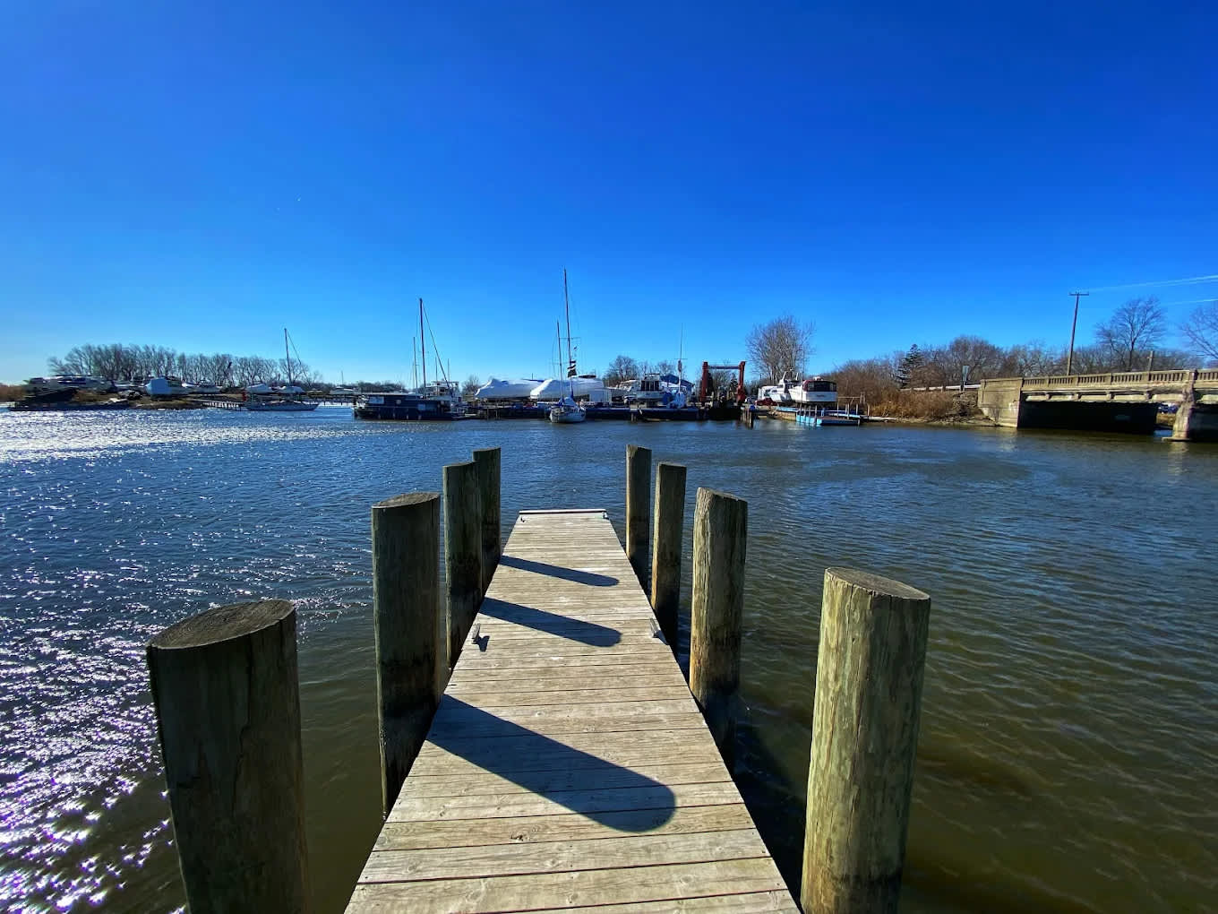 Downriver Marina and Campground