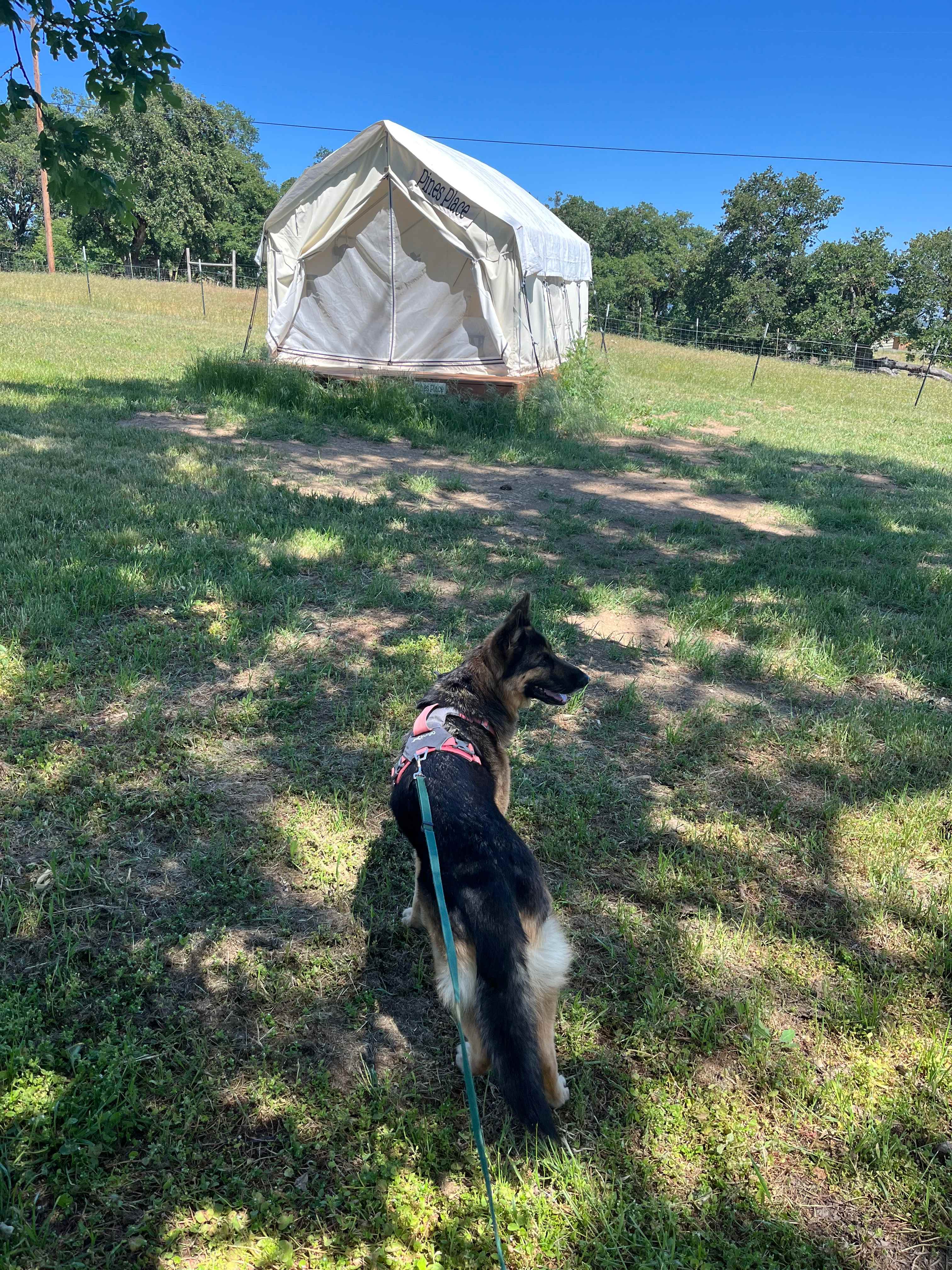 Lane Creek Reserve