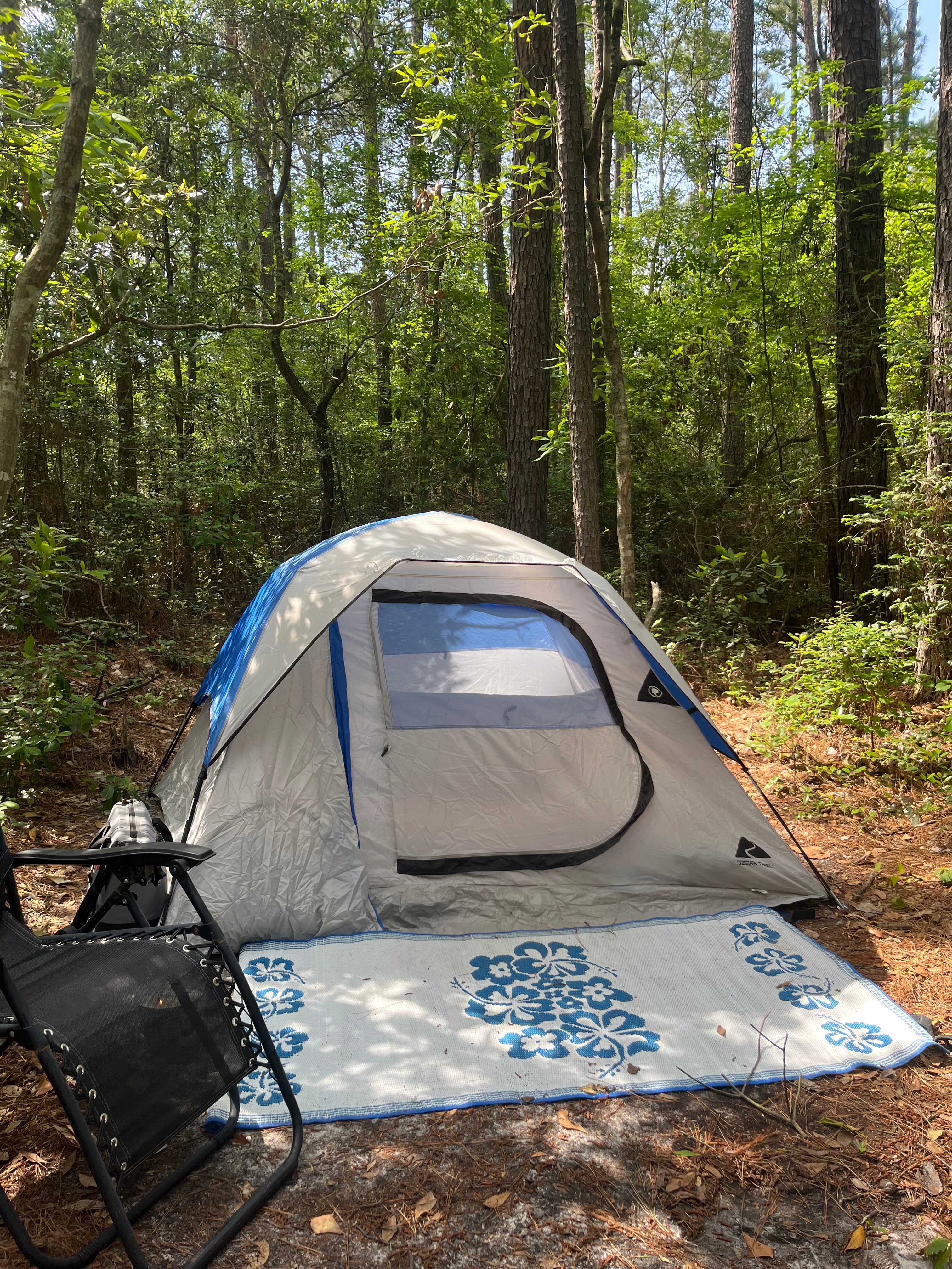 The Fern Getaway