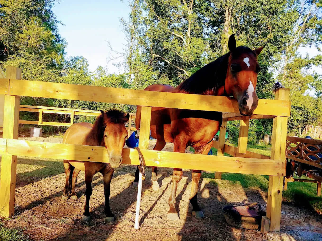 Hitchin Post Corral And RV Park, Llc