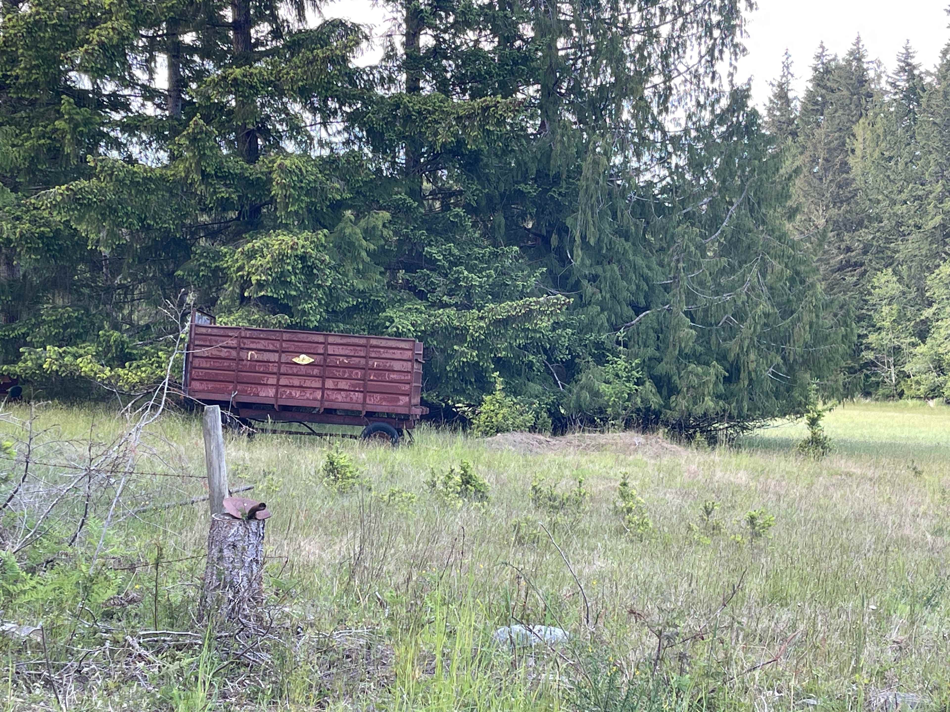 Chickadee Gardens