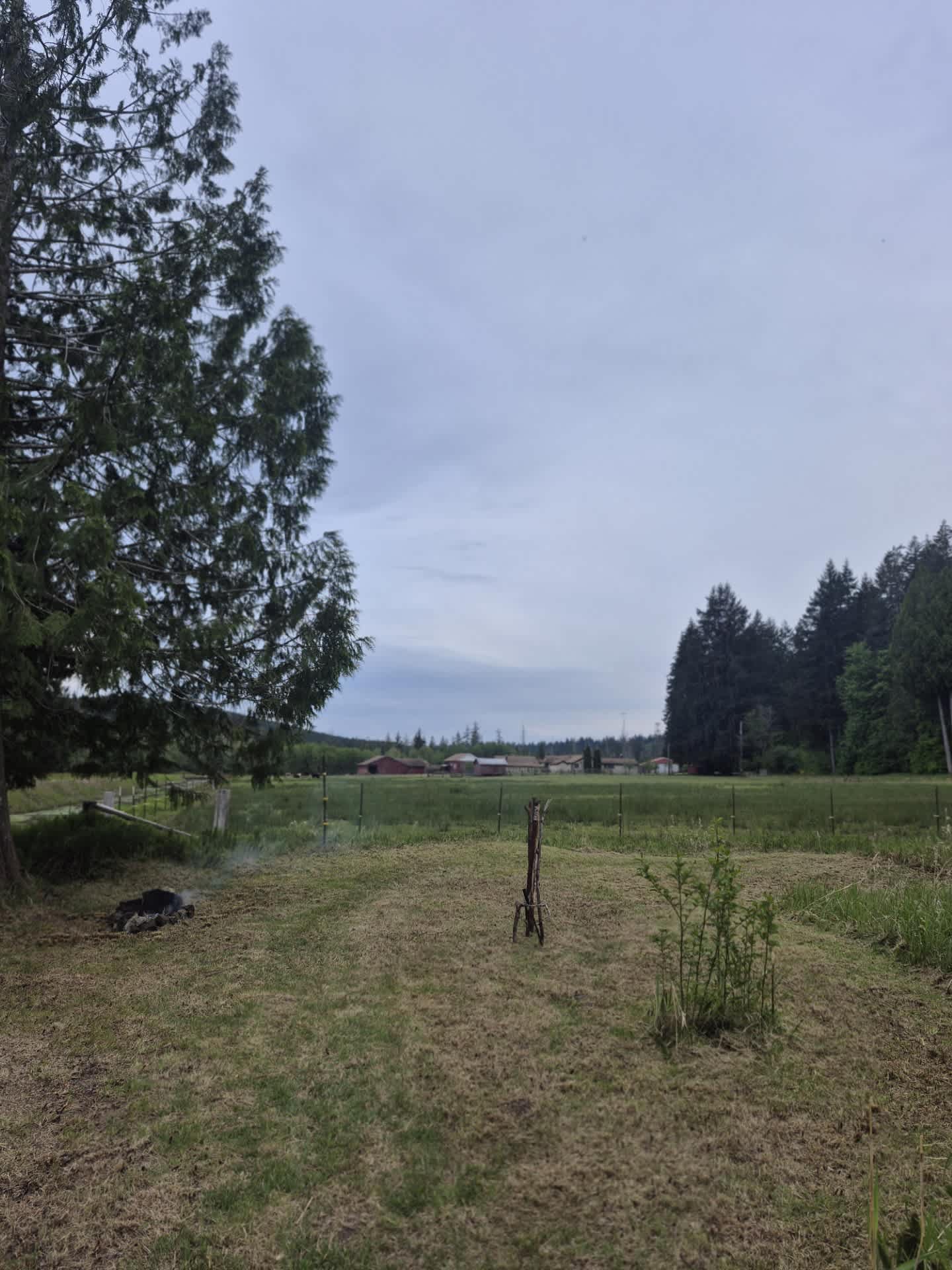 Ruby's Prairie on Little Egypt Road