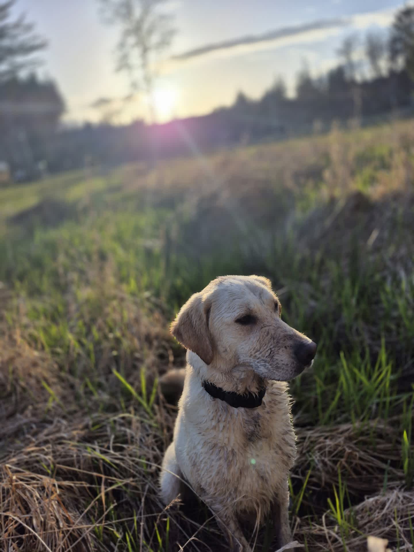 Ruby's Prairie on Little Egypt Road