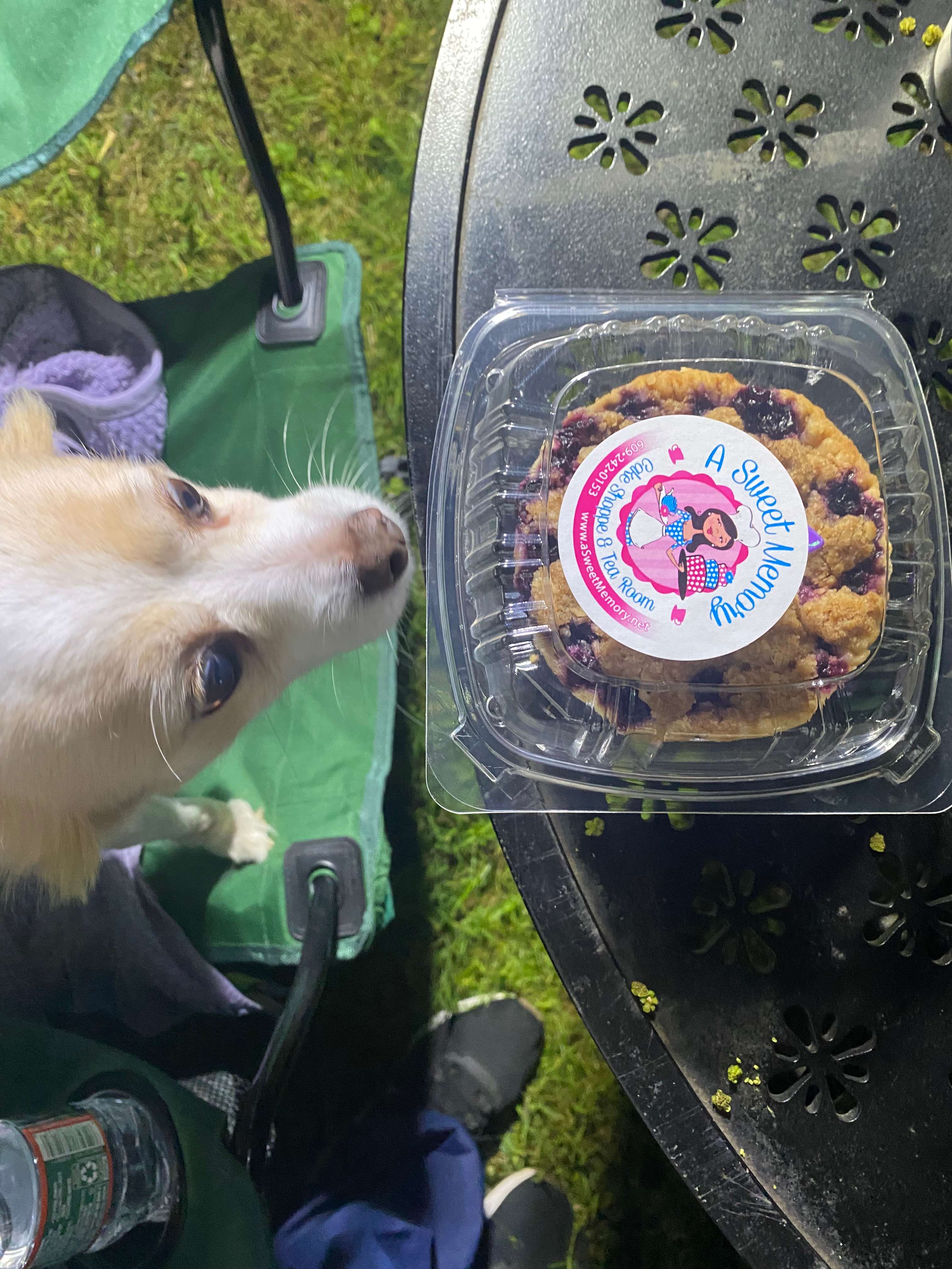 Local Blueberry Pie, delicious!!